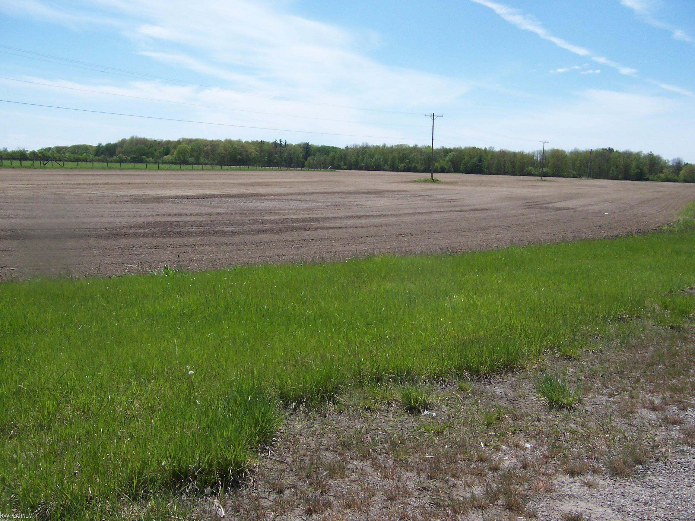 Vacant Kilgore Rd Road, Avoca, MI 48006 — Photo 4