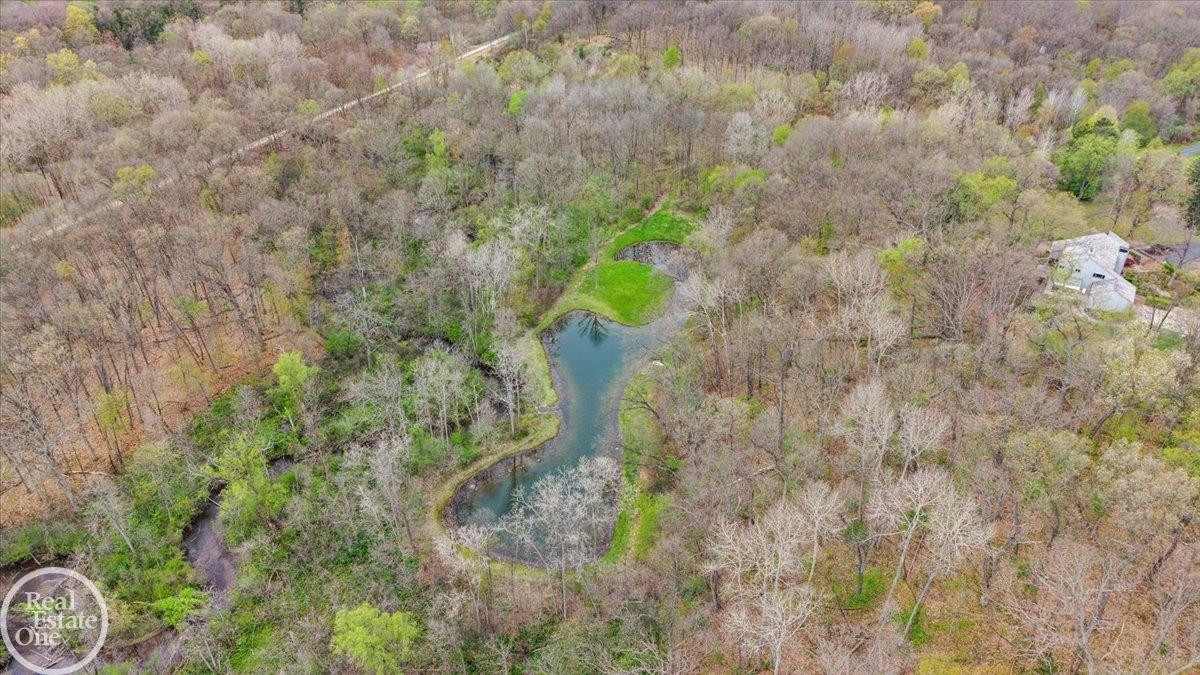3750 Orion Road - Photo 2