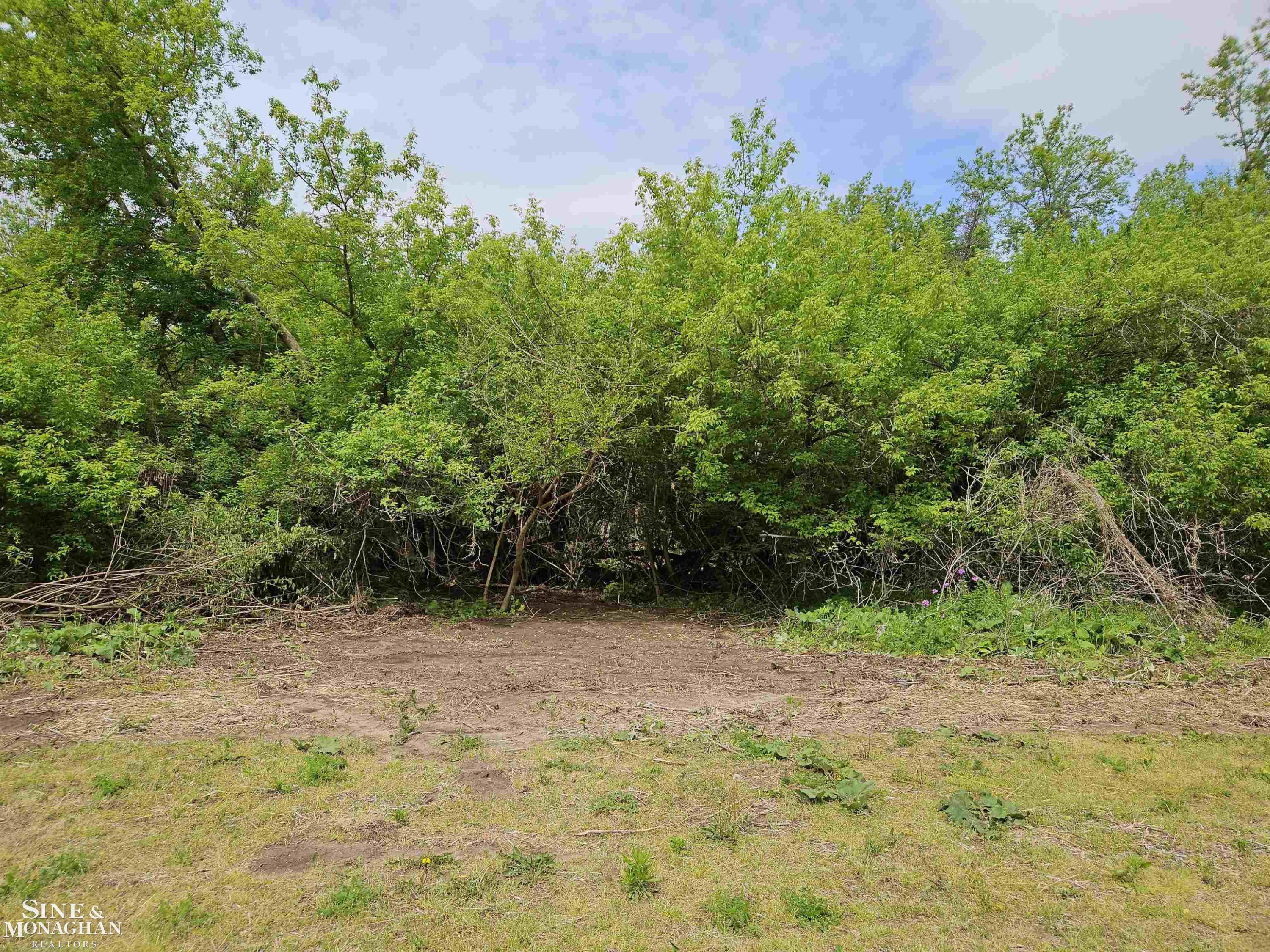 73763 Coon Creek Road, MI — Photo 2