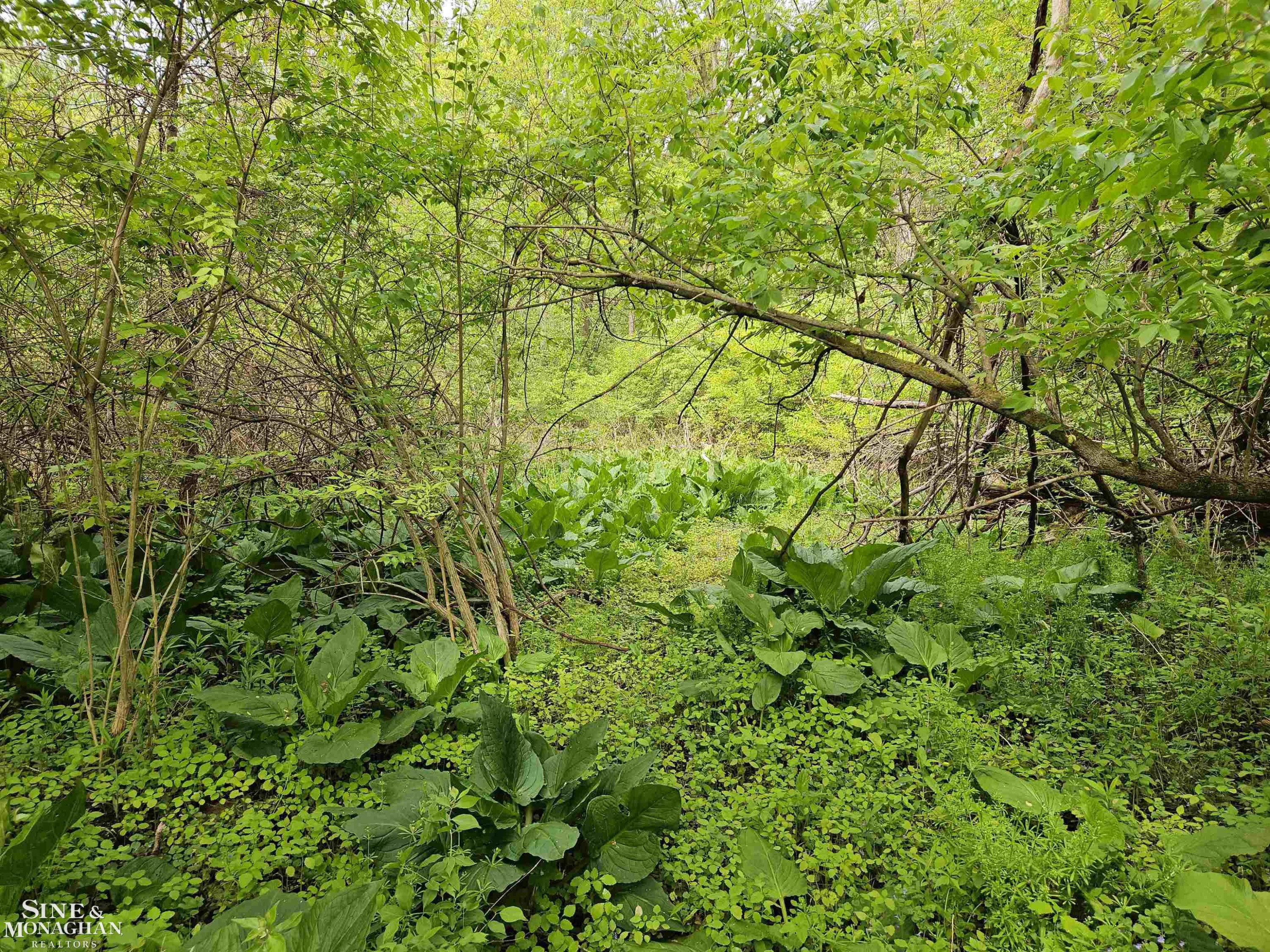 73763 Coon Creek Road, MI — Photo 3