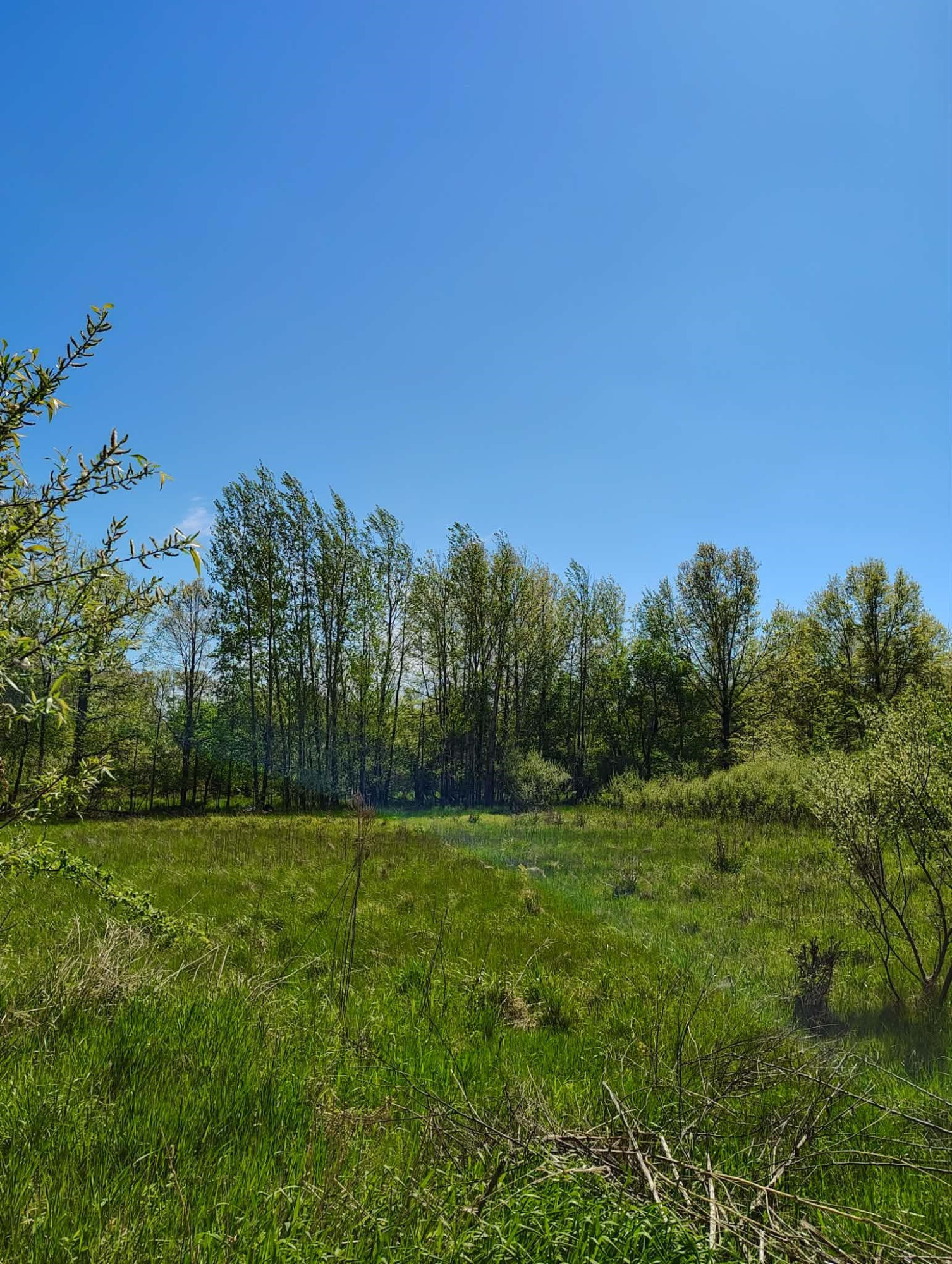 8602 S Fordney Road, Saint Charles, MI 48655 — Photo 25