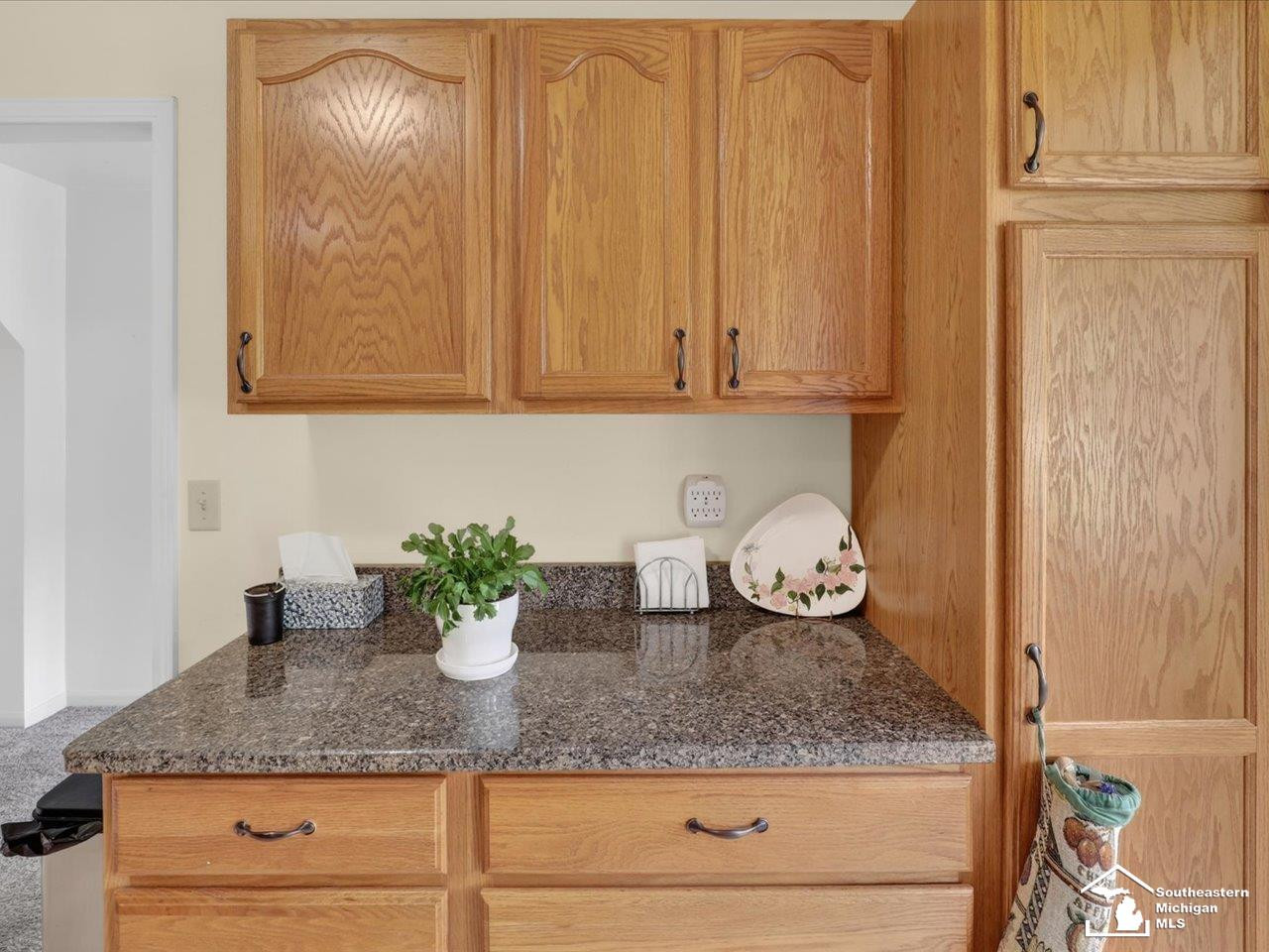 50 Ohio Street, Milan, MI 48160 — Photo 17
