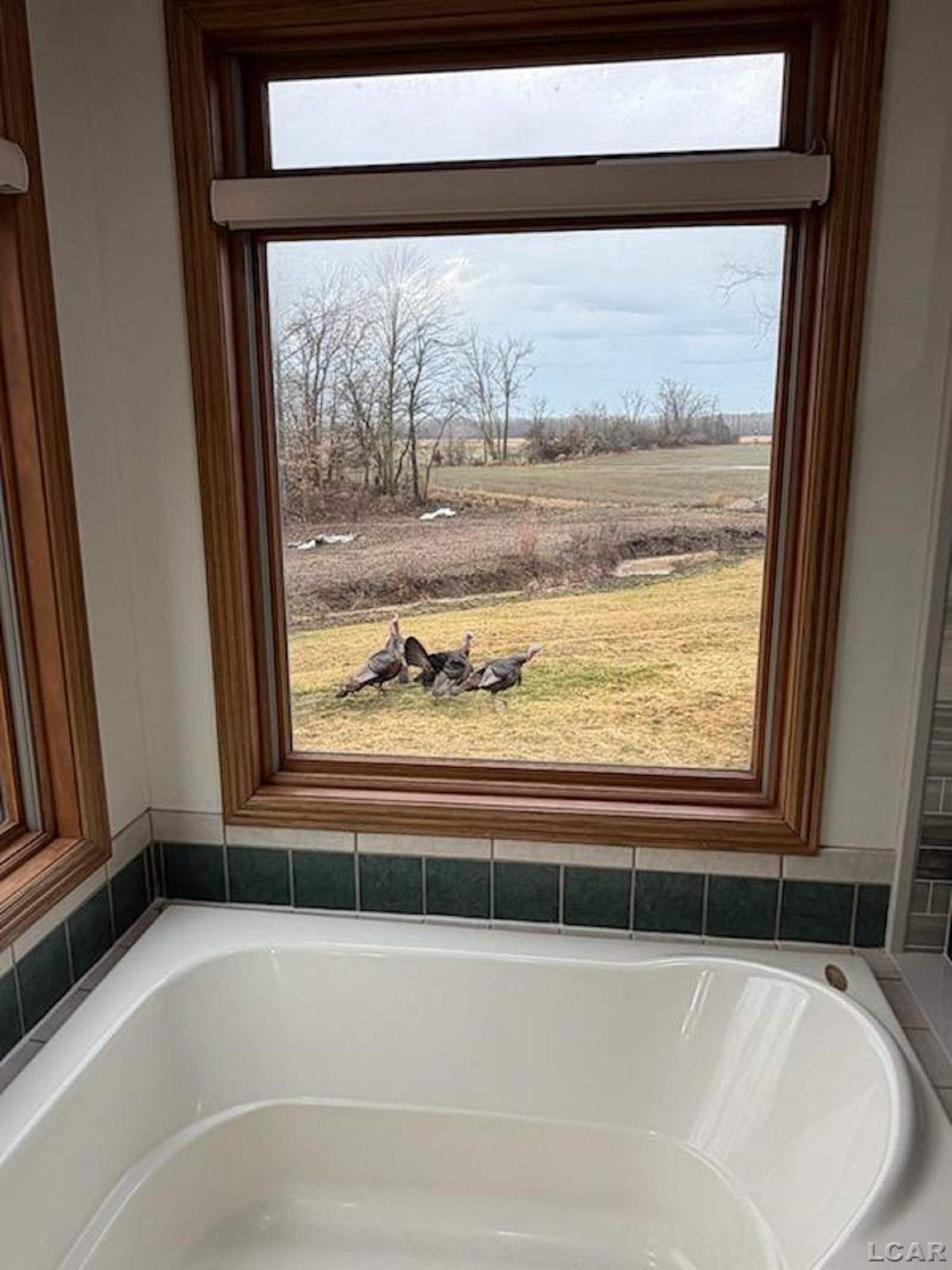 5397 Elm Road, Hudson, MI 49247 — Photo 27
