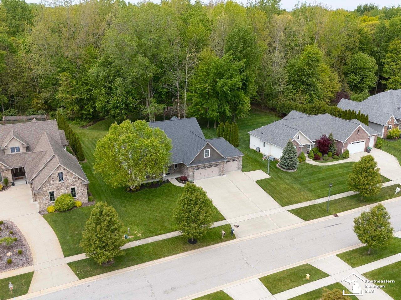 6606 Summerlyn Boulevard, Lambertville, MI 48144 — Photo 68
