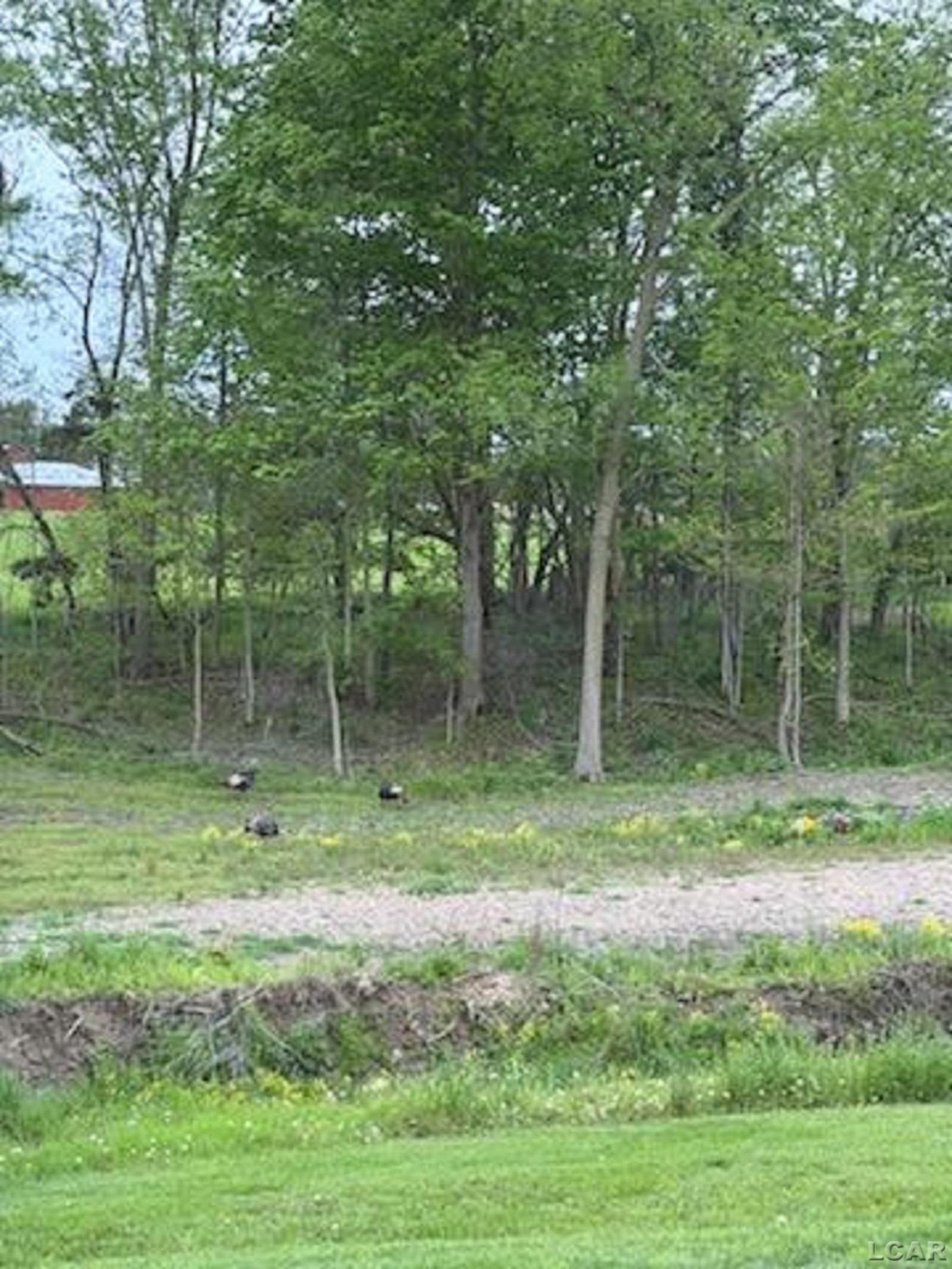 5397 Elm Road, Hudson, MI 49247 — Photo 76