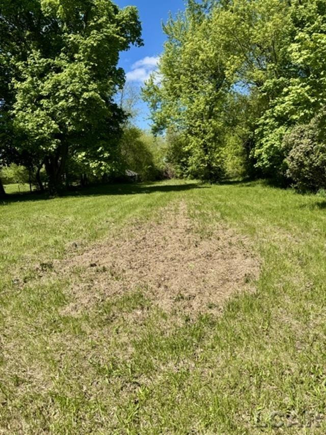 4856 Deleon Drive, Tecumseh, MI 49286 — Photo 9