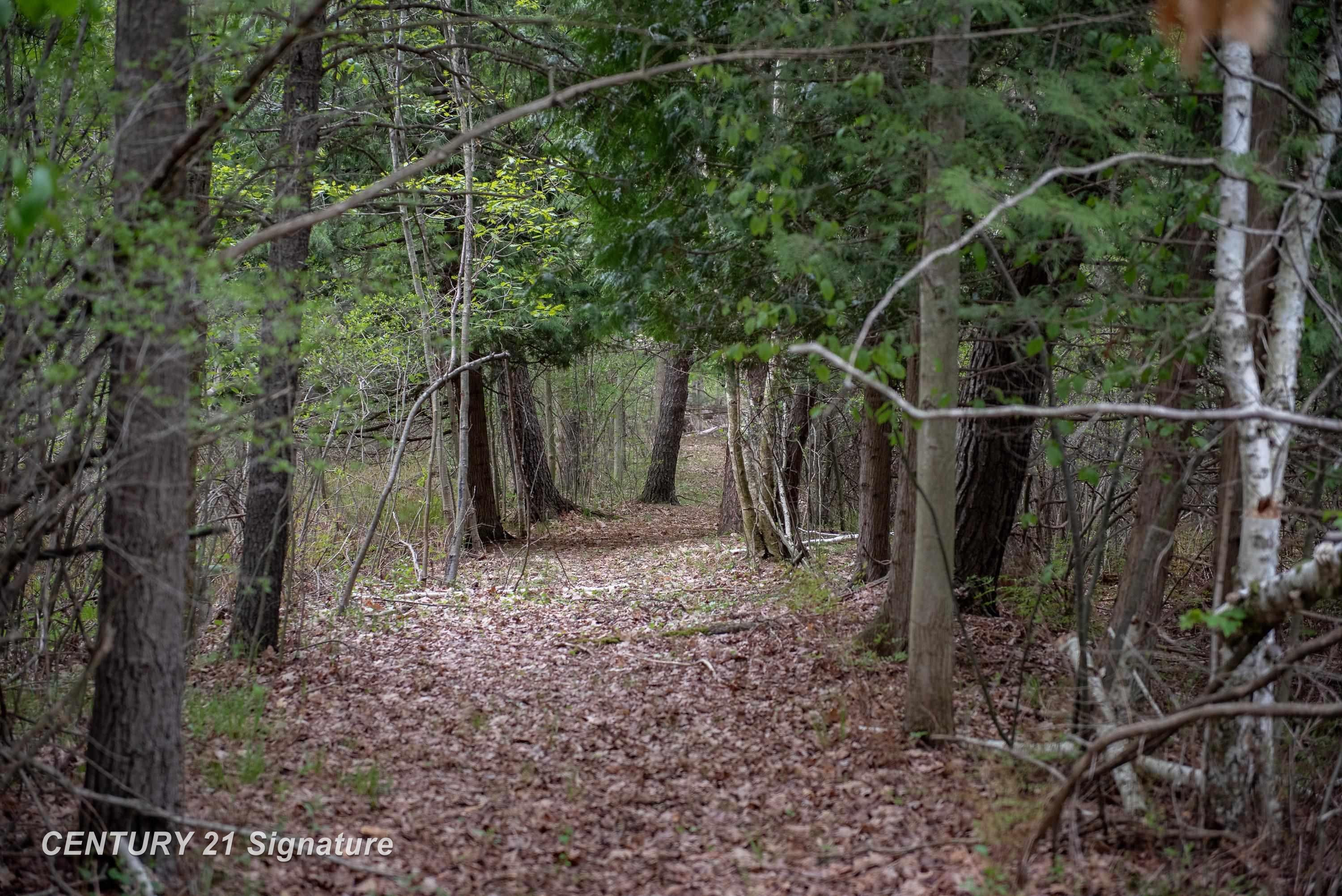 5242 Ostlund Drive, Hope, MI 48628 — Photo 18