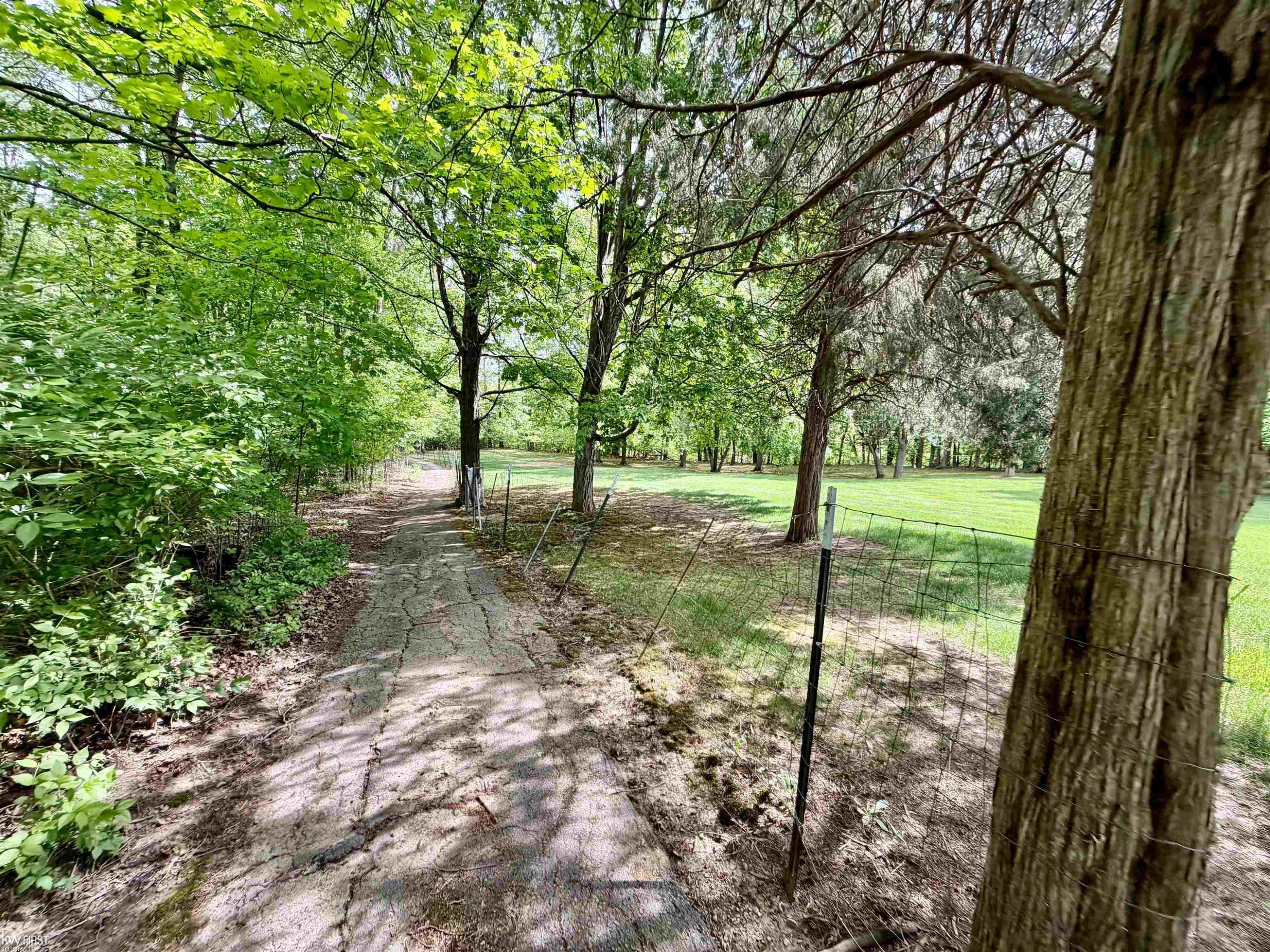 7432 River Road, Flushing, MI 48433 — Photo 11