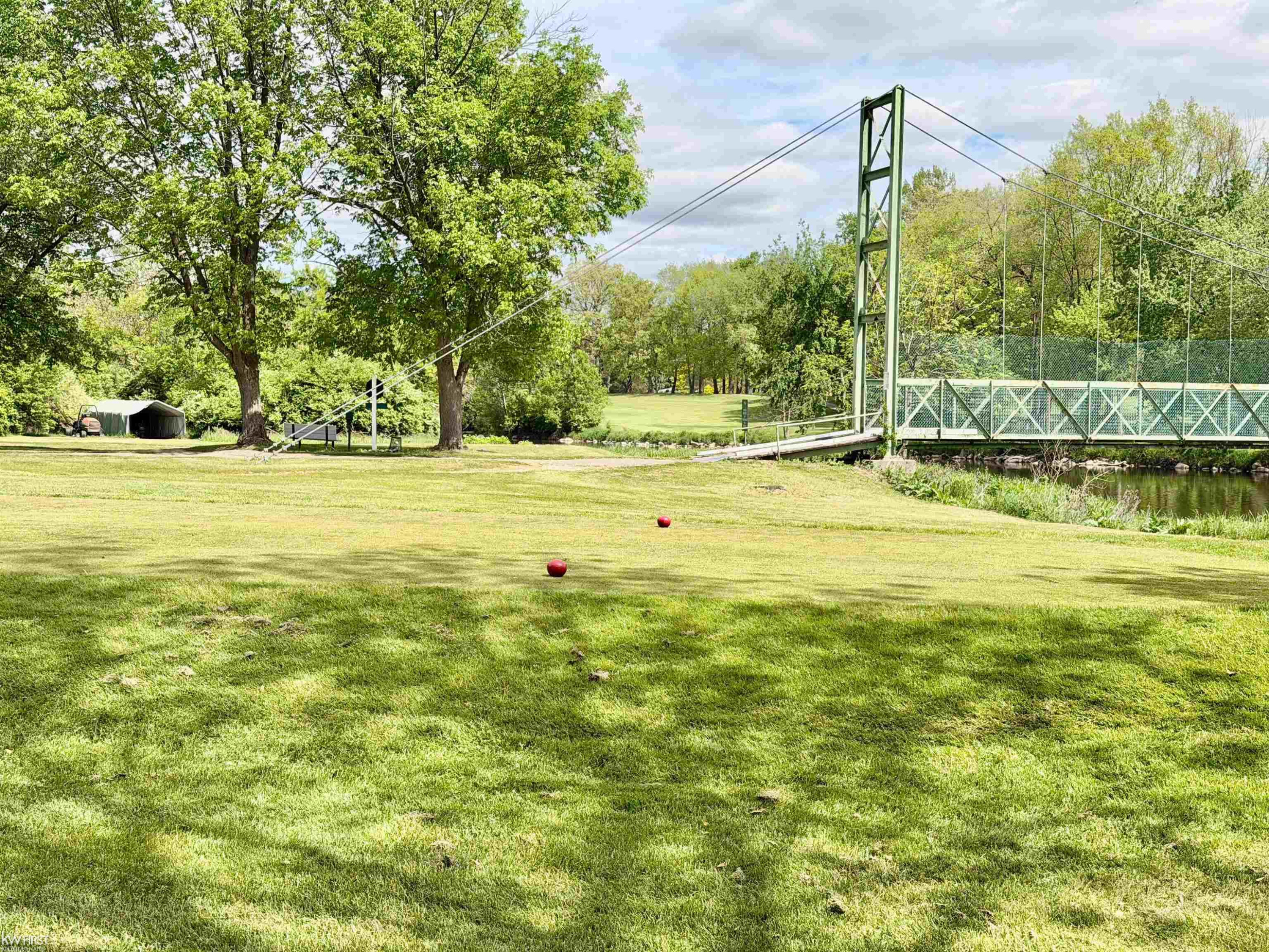 7432 River Road, Flushing, MI 48433 — Photo 13