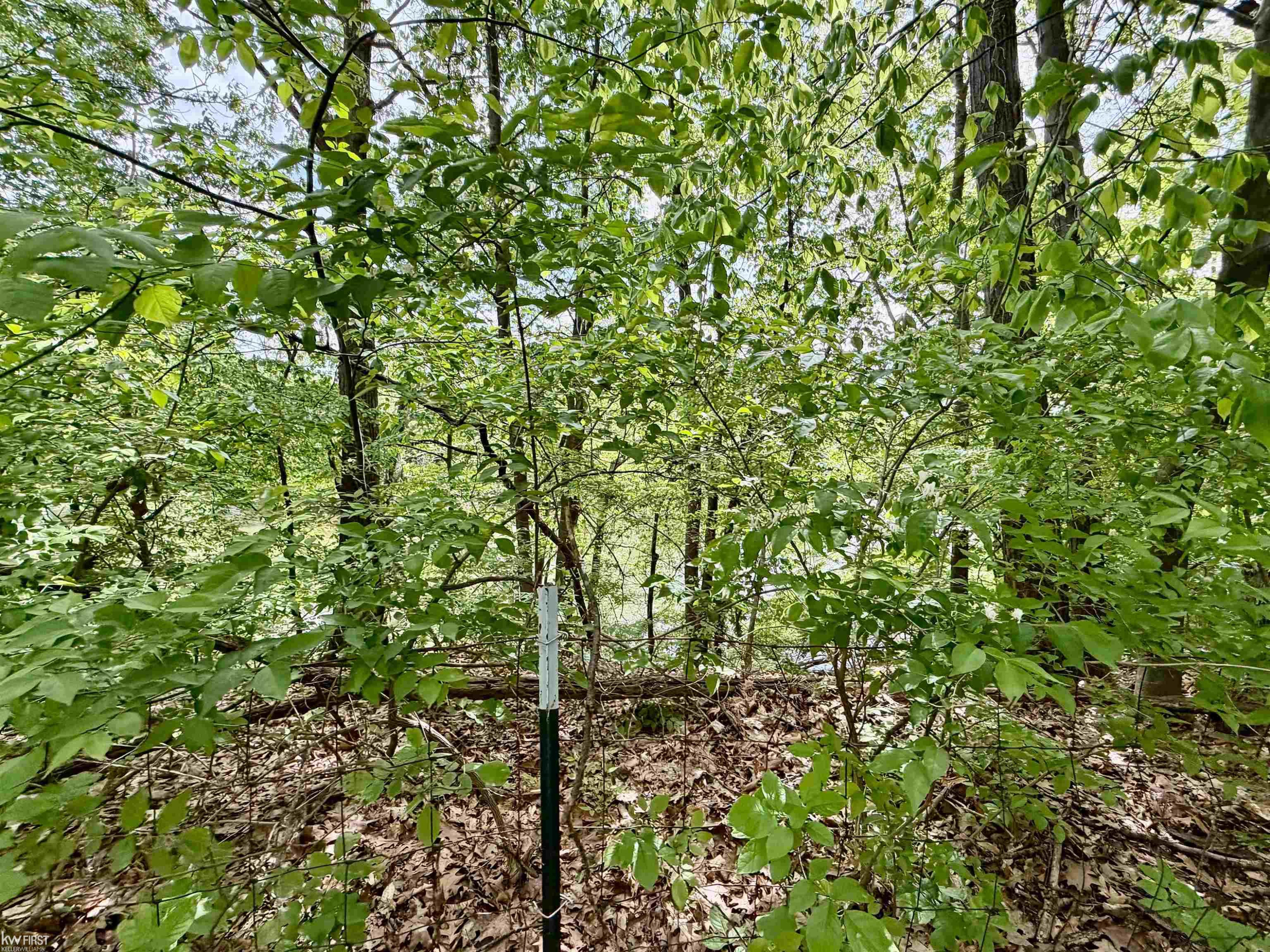 7432 River Road, Flushing, MI 48433 — Photo 14