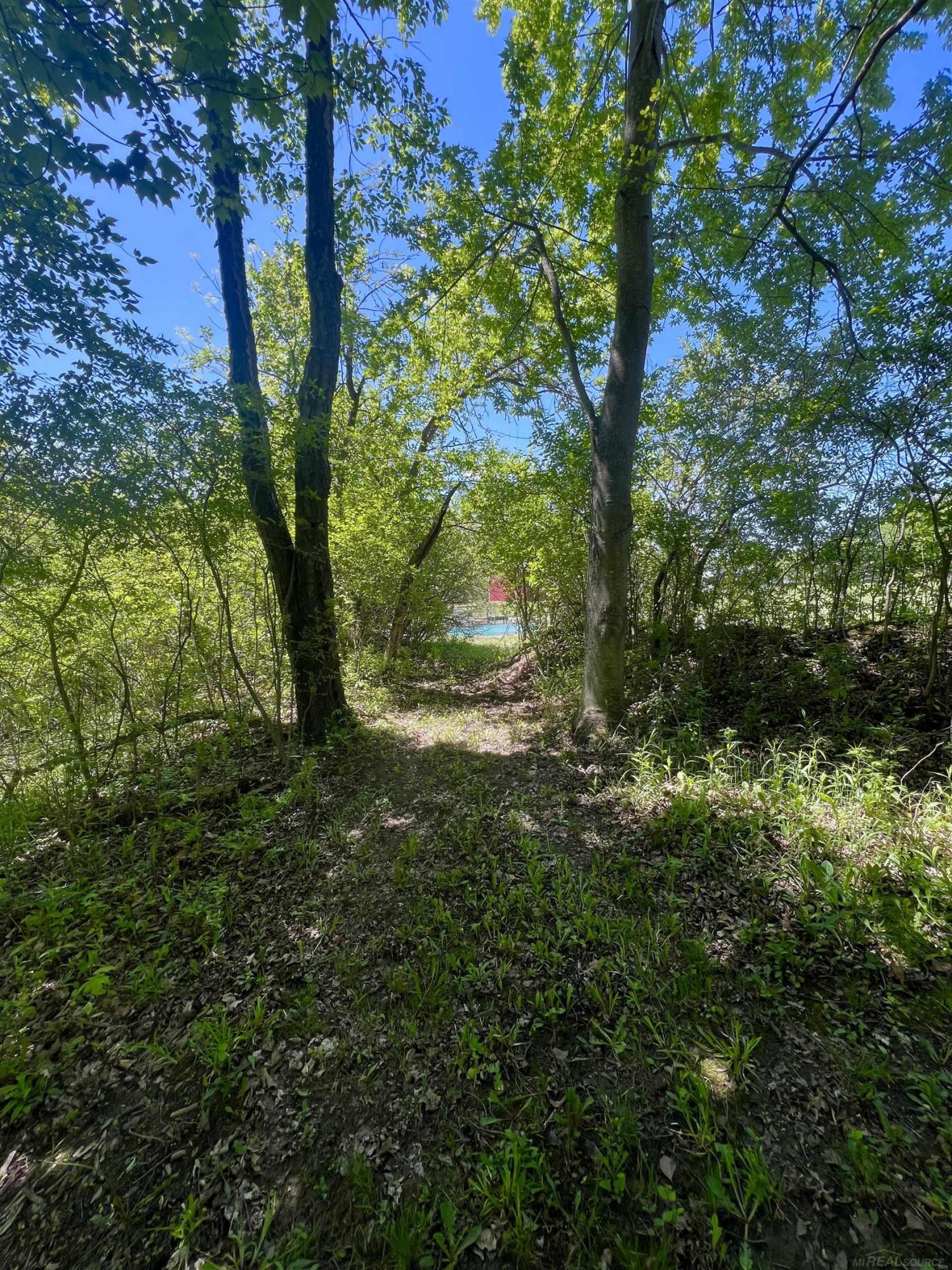 3747 Westrick Road, MI — Photo 6
