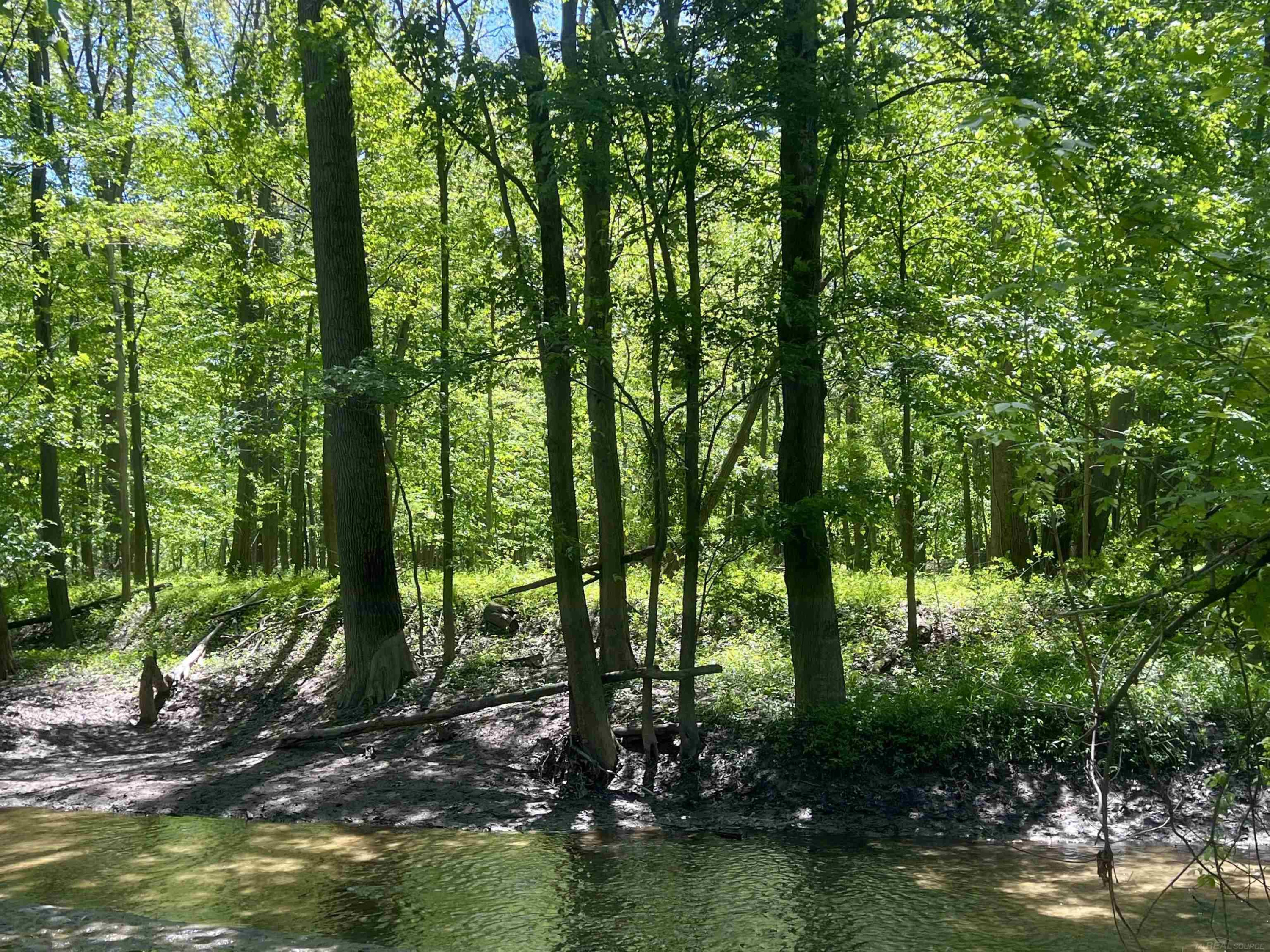 3747 Westrick Road, MI — Photo 10