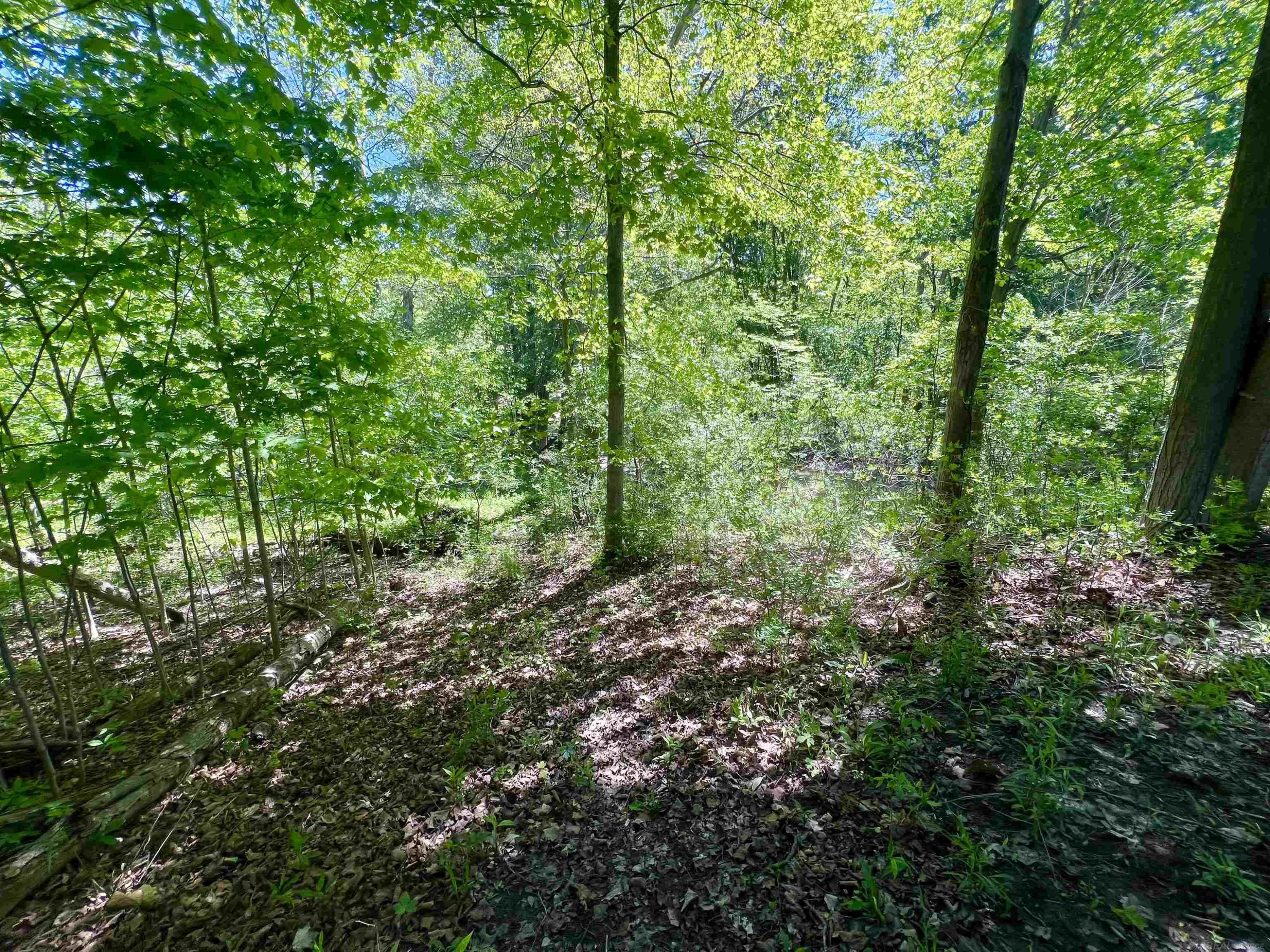 3747 Westrick Road, MI — Photo 12