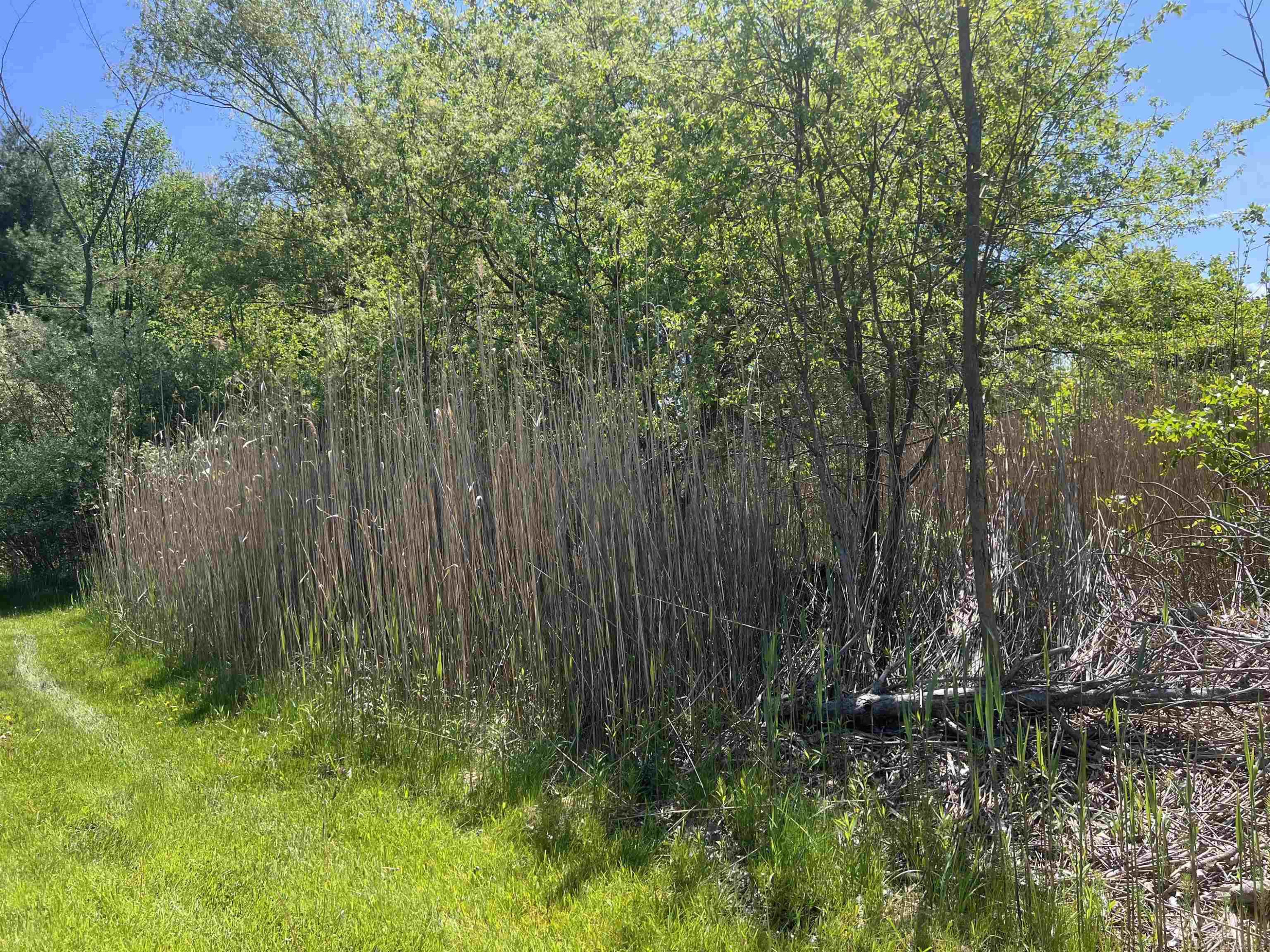 3747 Westrick Road, MI — Photo 24
