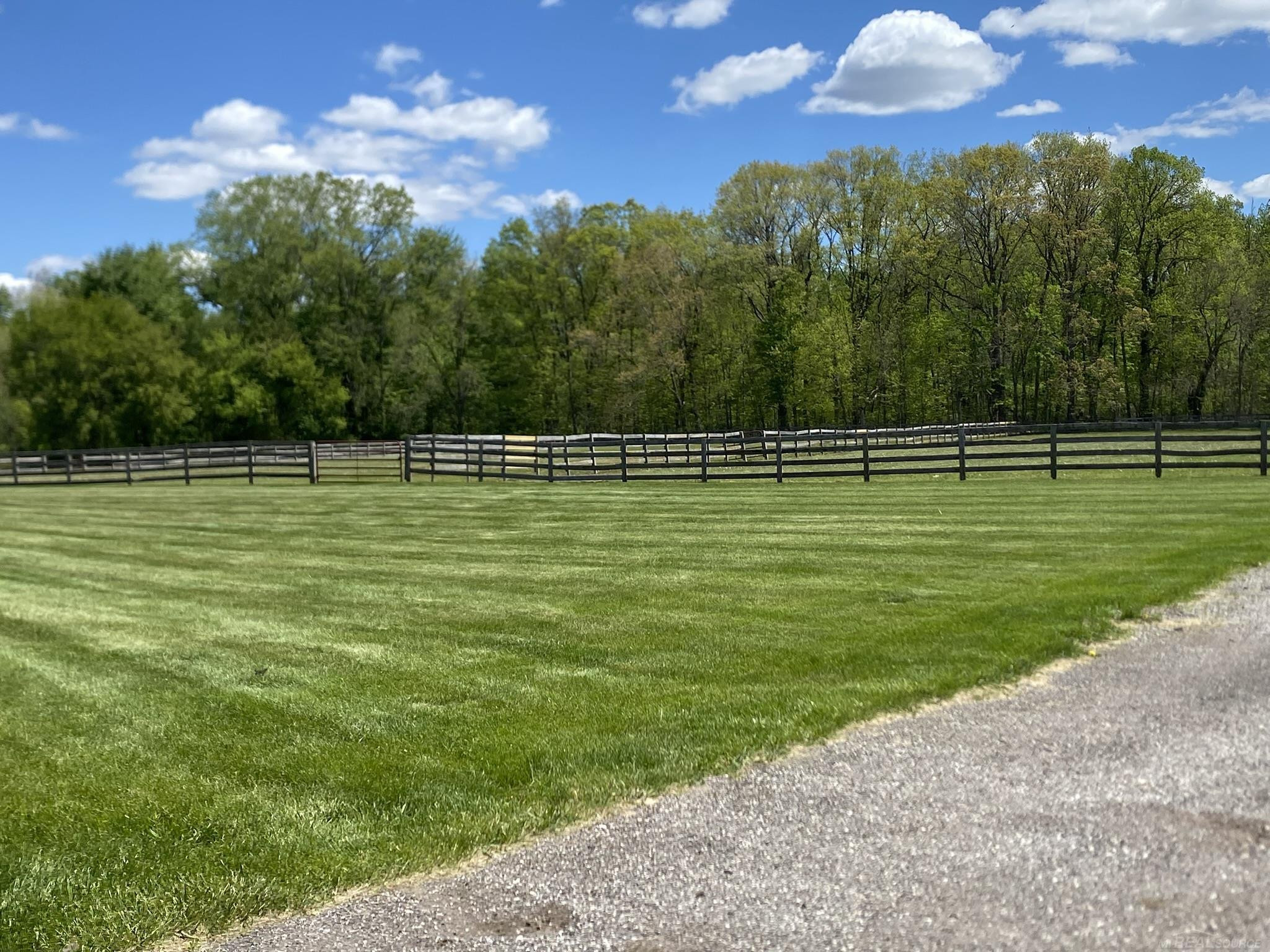 13880 Moss Creek Road, Milan, MI 48160 — Photo 14