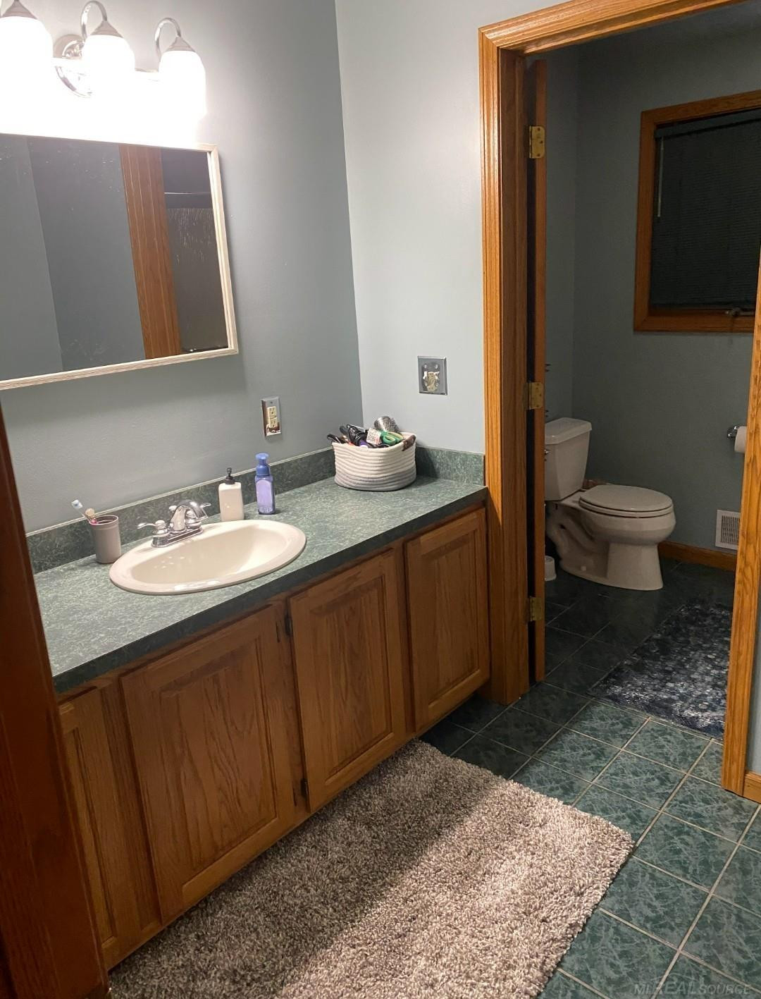 13880 Moss Creek Road, Milan, MI 48160 — Photo 23