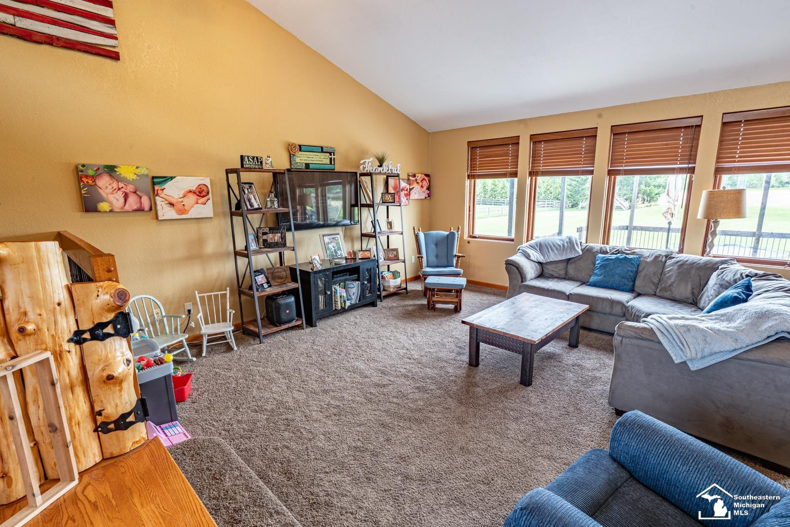 7338 Turk Road, MI 49267 — Photo 20