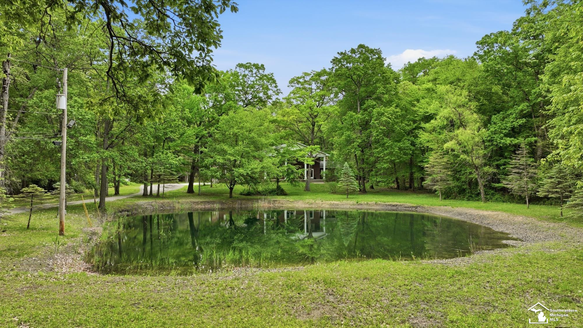 12494 Timber Ridge Trail, Ida, MI 48140 — Photo 3