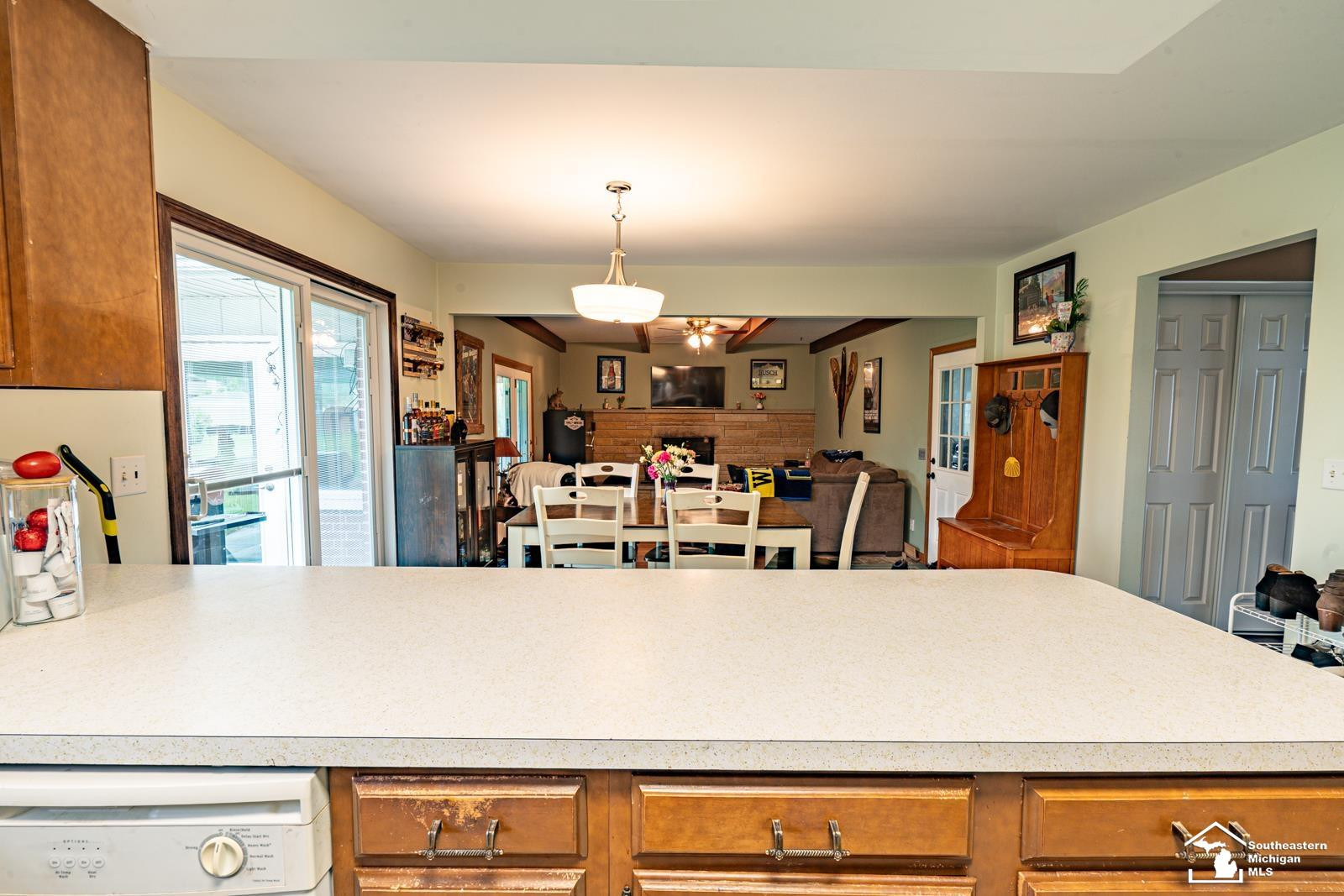 3248 Lewis Avenue, Ida, MI 48140 — Photo 14