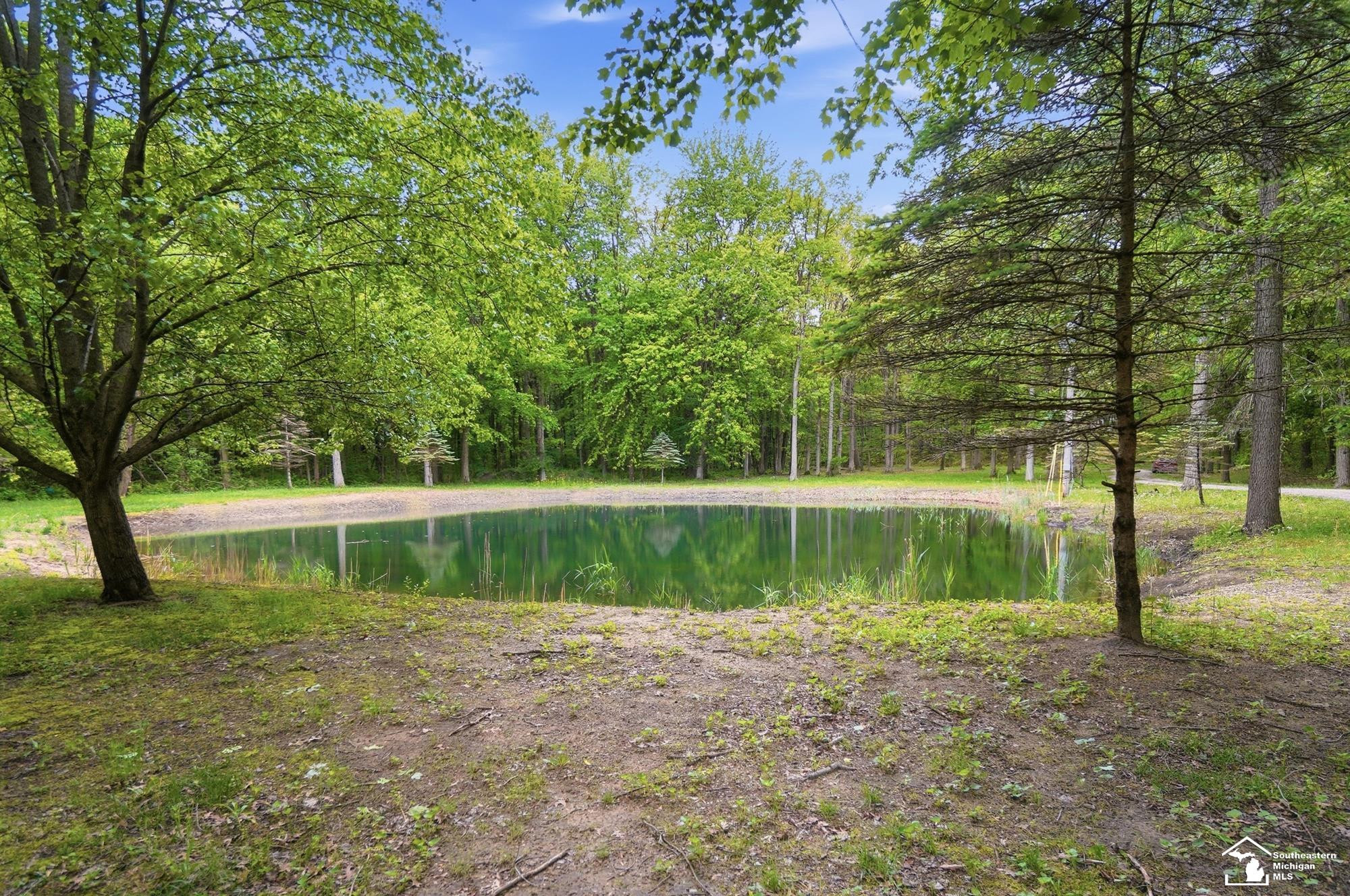 12494 Timber Ridge Trail, Ida, MI 48140 — Photo 17