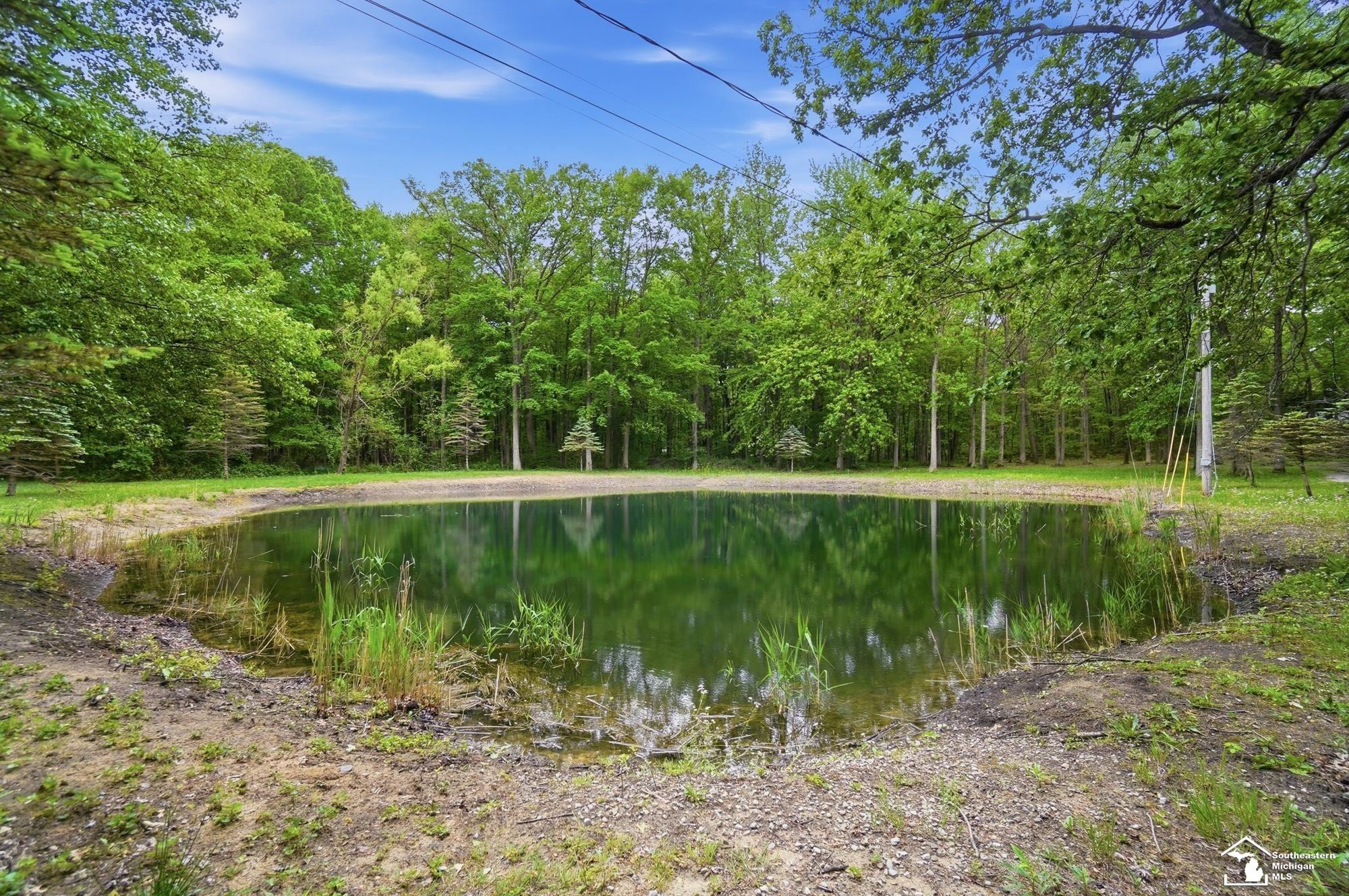 12494 Timber Ridge Trail, Ida, MI 48140 — Photo 18