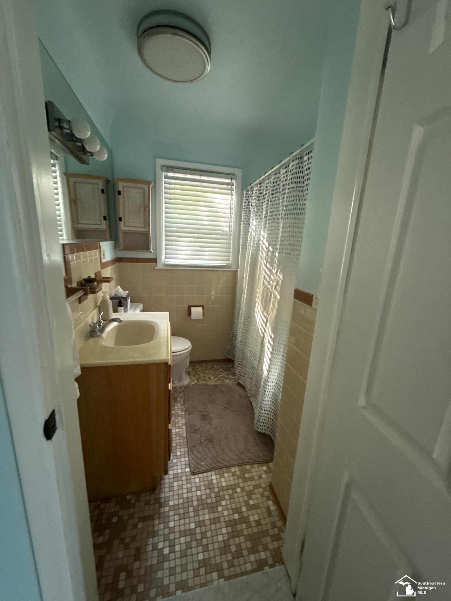 20 W Peterson Drive, Brighton, MI 48114 — Photo 22