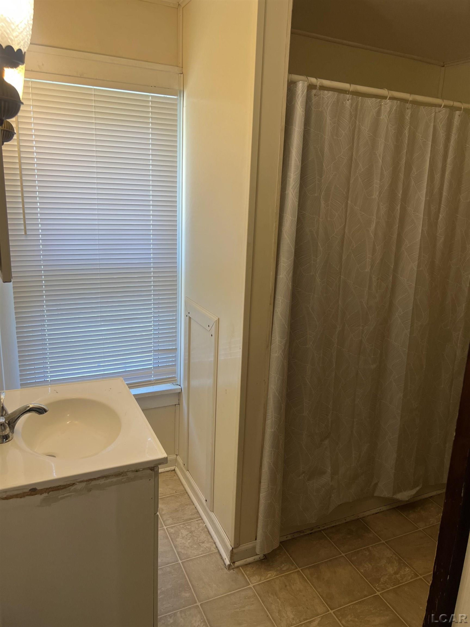 408 Toledo Street, Adrian, MI 49221 — Photo 6