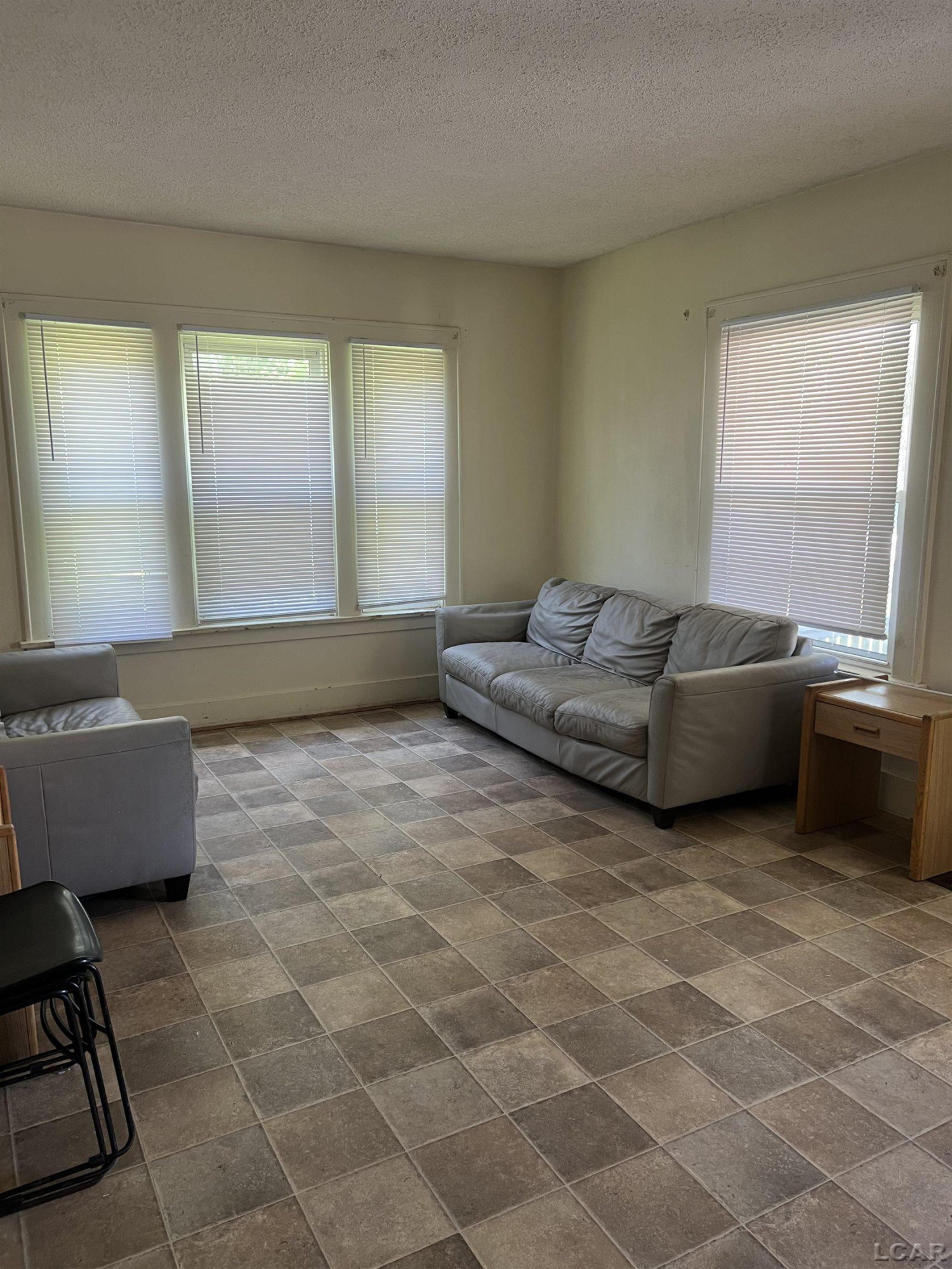 408 Toledo Street, Adrian, MI 49221 — Photo 10
