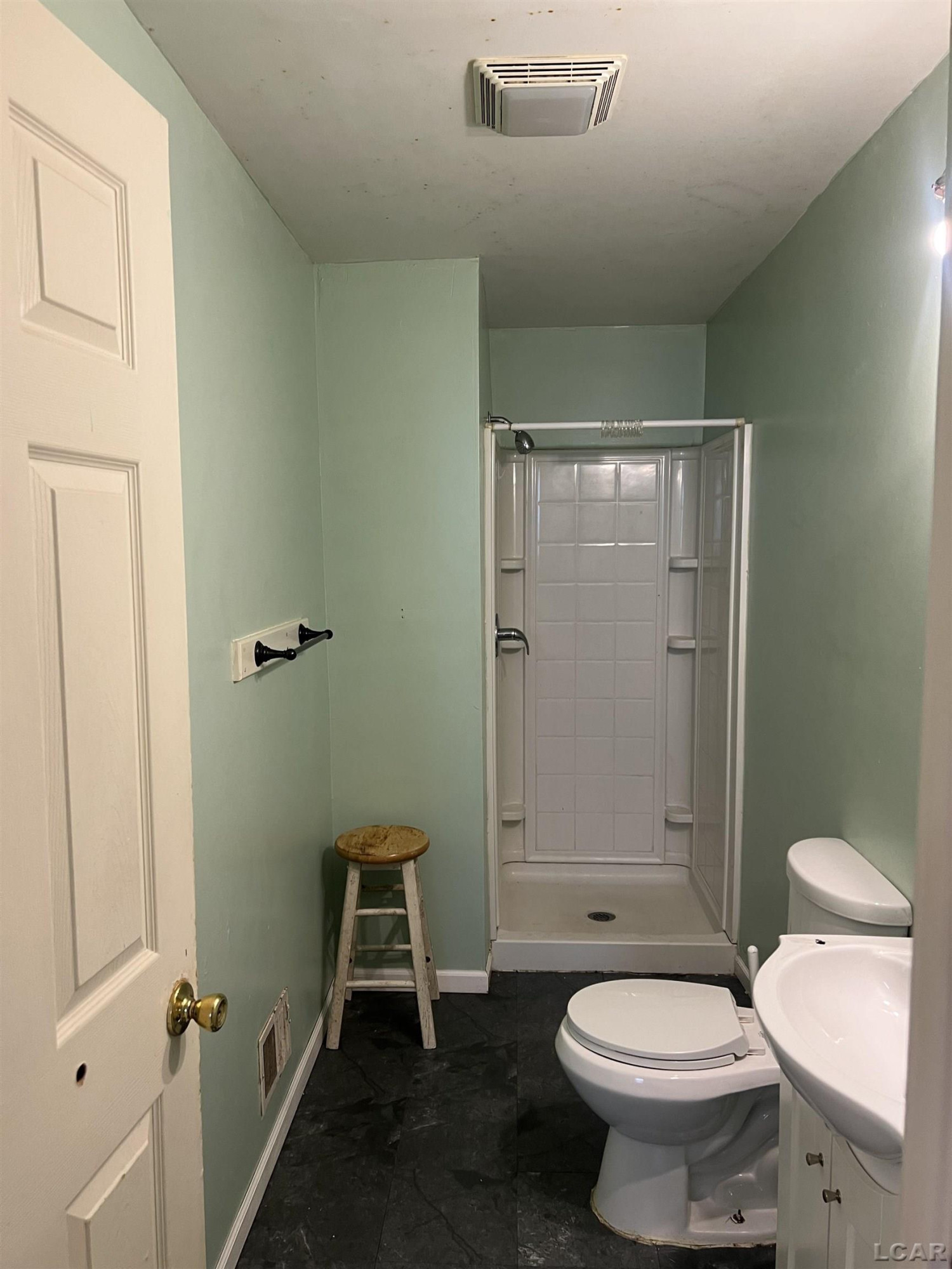 408 Toledo Street, Adrian, MI 49221 — Photo 11