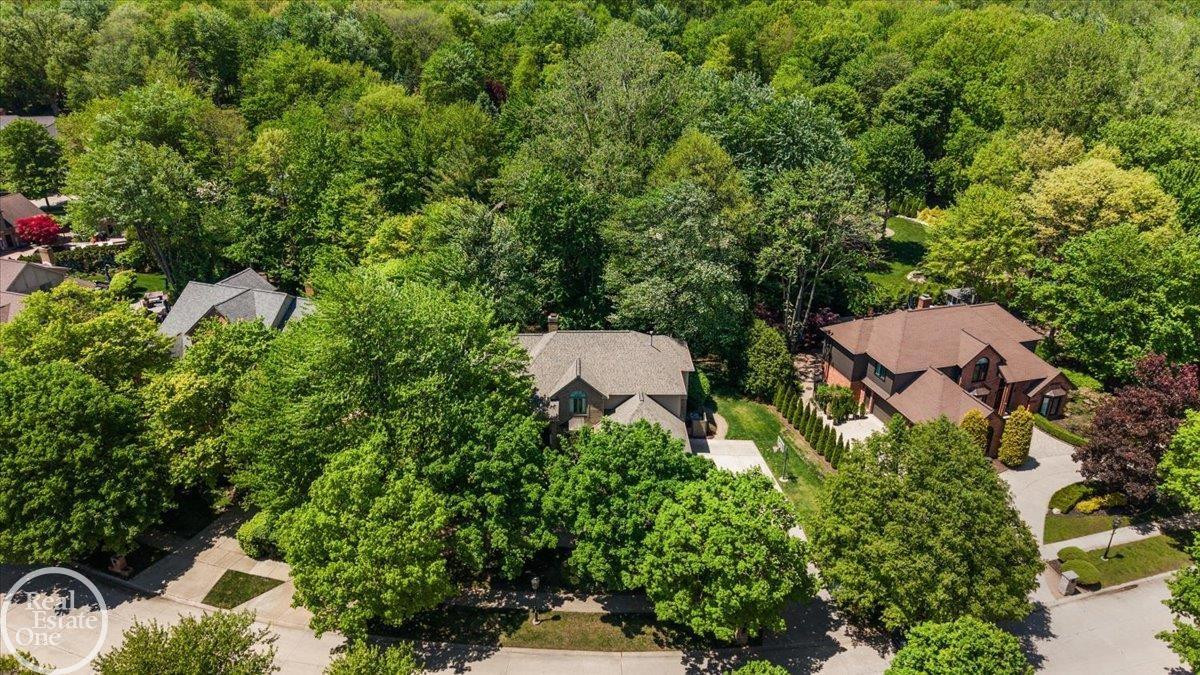 53291 Shanelle Lane, Shelby Twp, MI 48315 — Photo 6