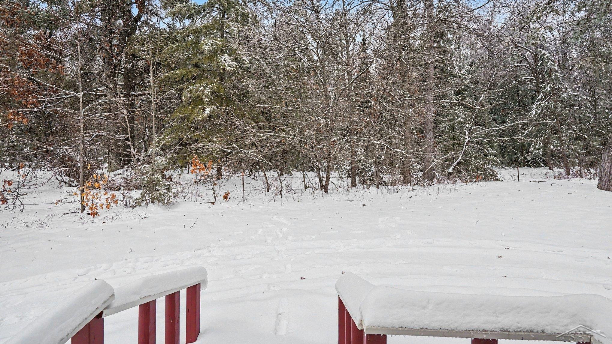 8266 Cedar Road, South Branch, MI 48761 — Photo 25