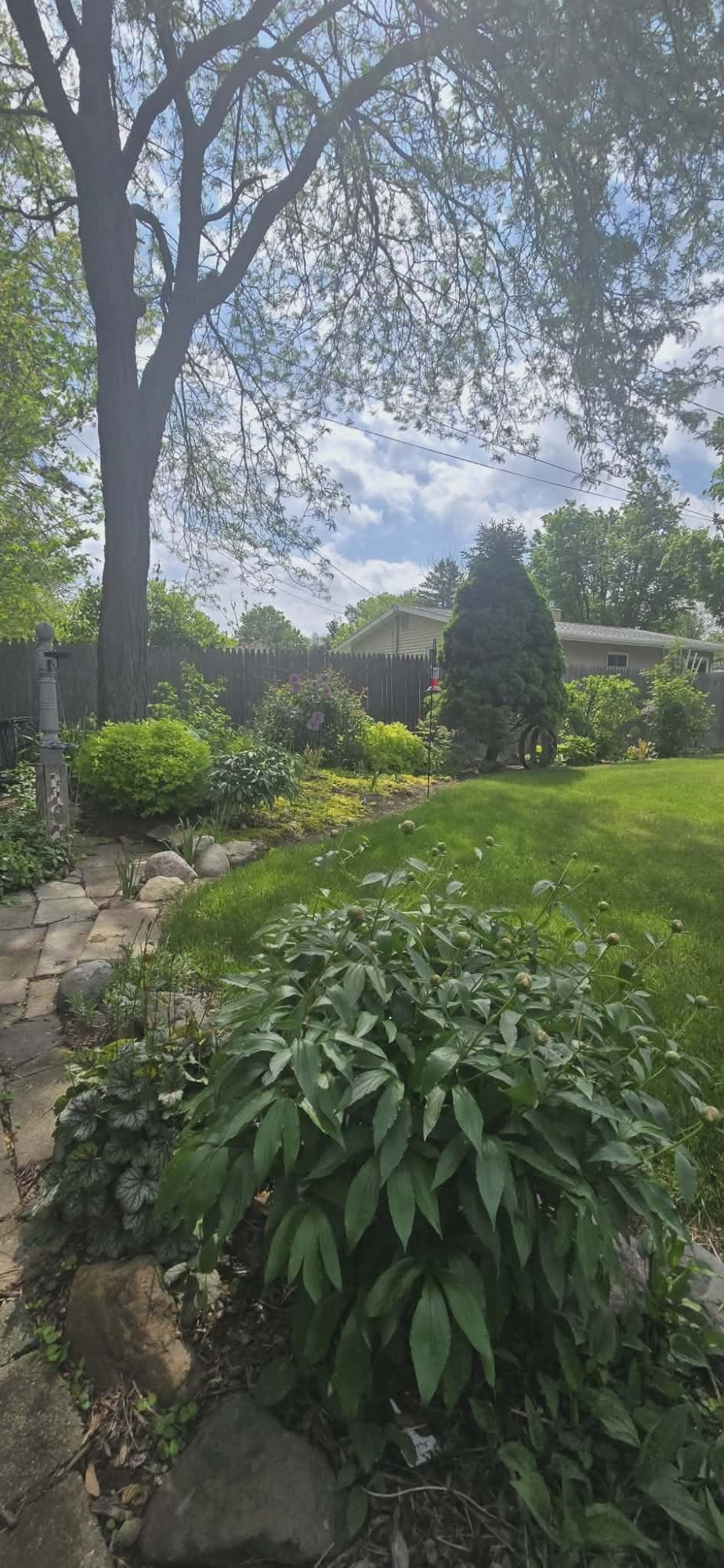811 Thomas Street, Flushing, MI 48433 — Photo 11