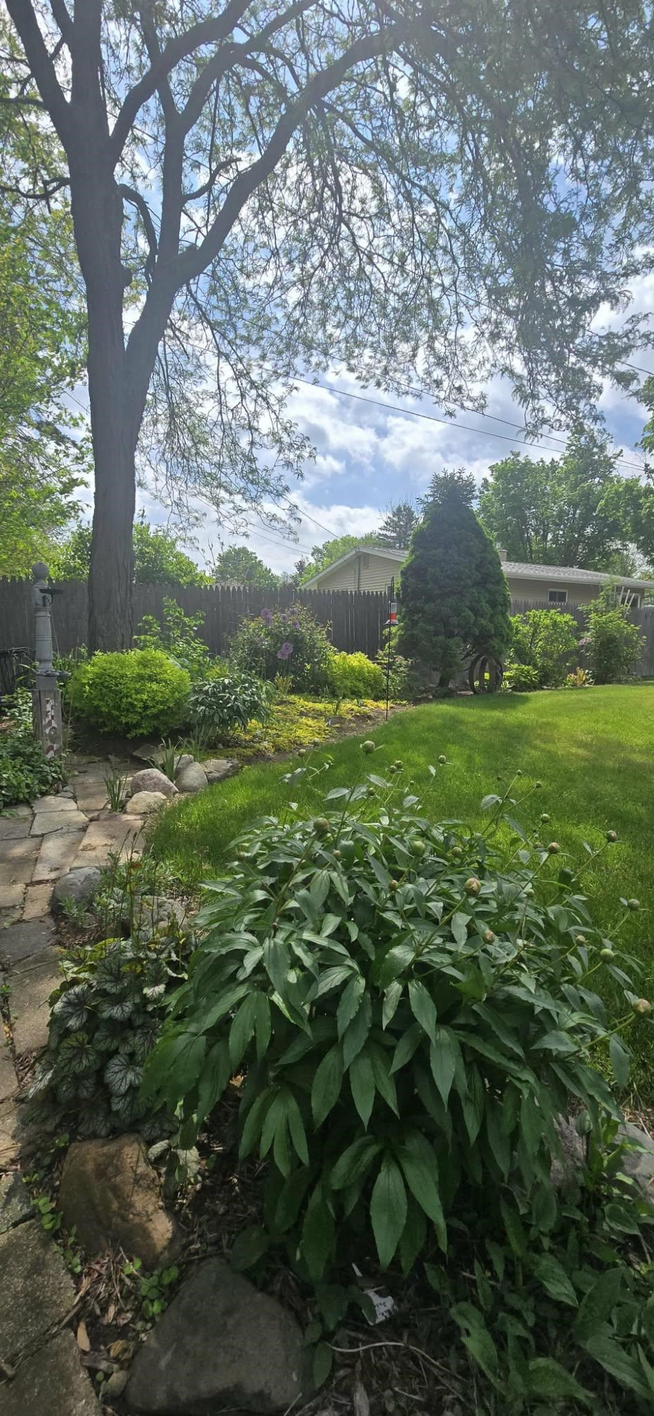 811 Thomas Street, Flushing, MI 48433 — Photo 21