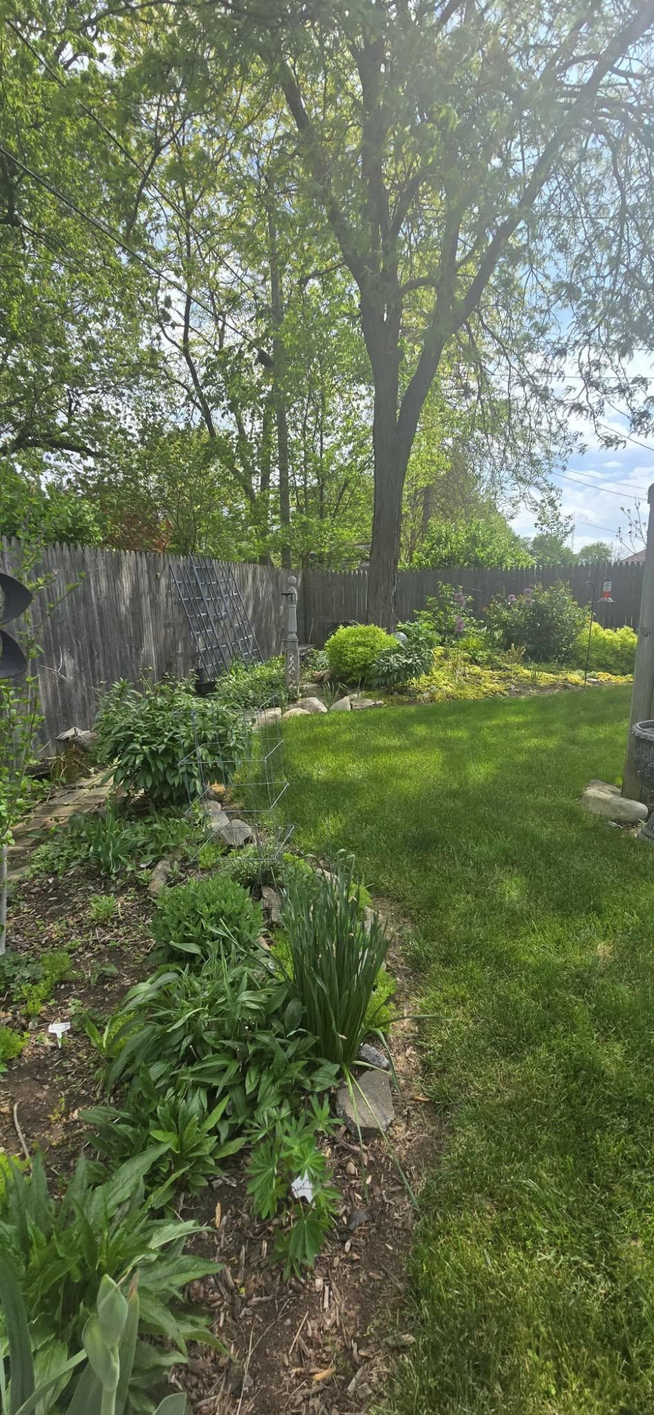 811 Thomas Street, Flushing, MI 48433 — Photo 23