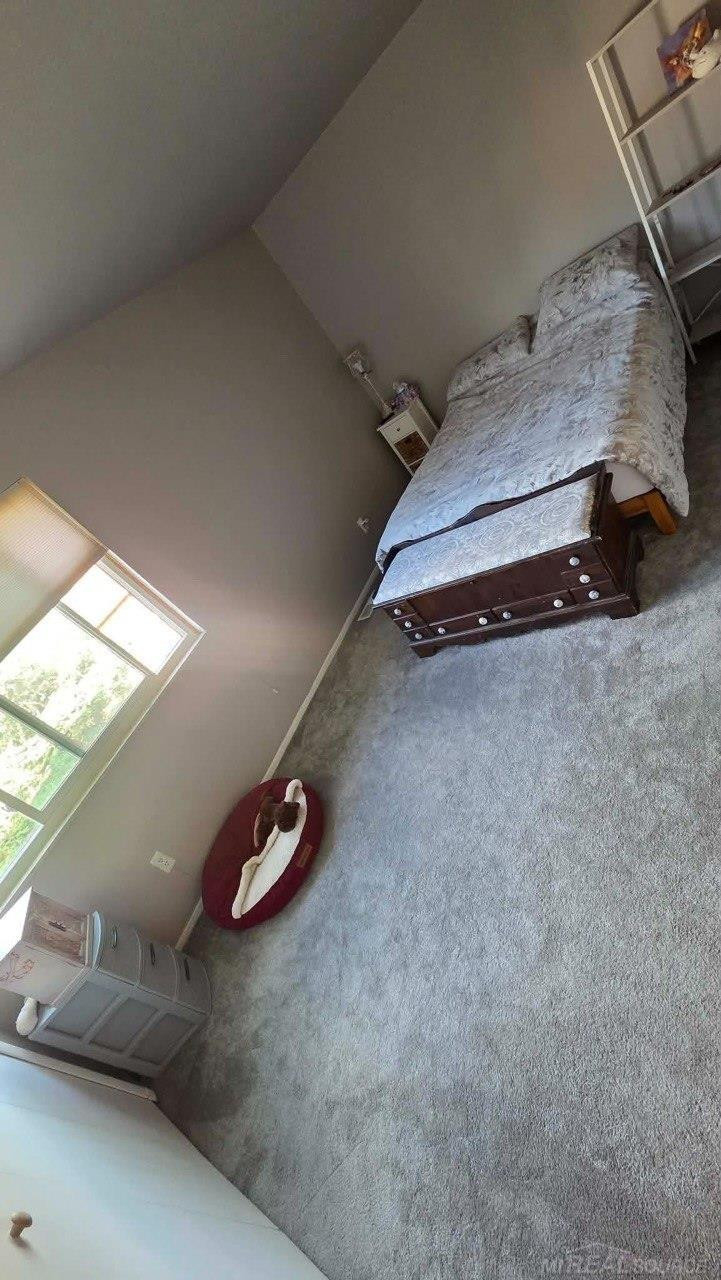 60 Willow Way Drive, Waterford, MI 48328 — Photo 10