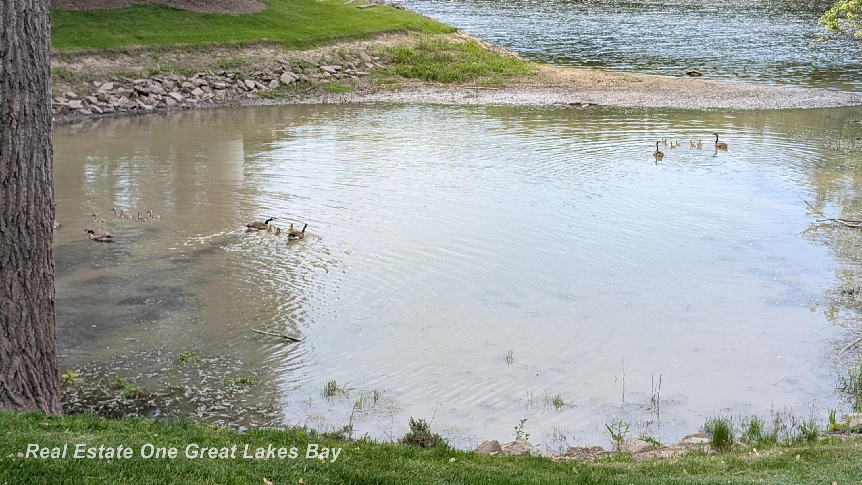 5905 W Michigan Avenue, Unit 79/B-3, Saginaw, MI 48638 — Photo 44