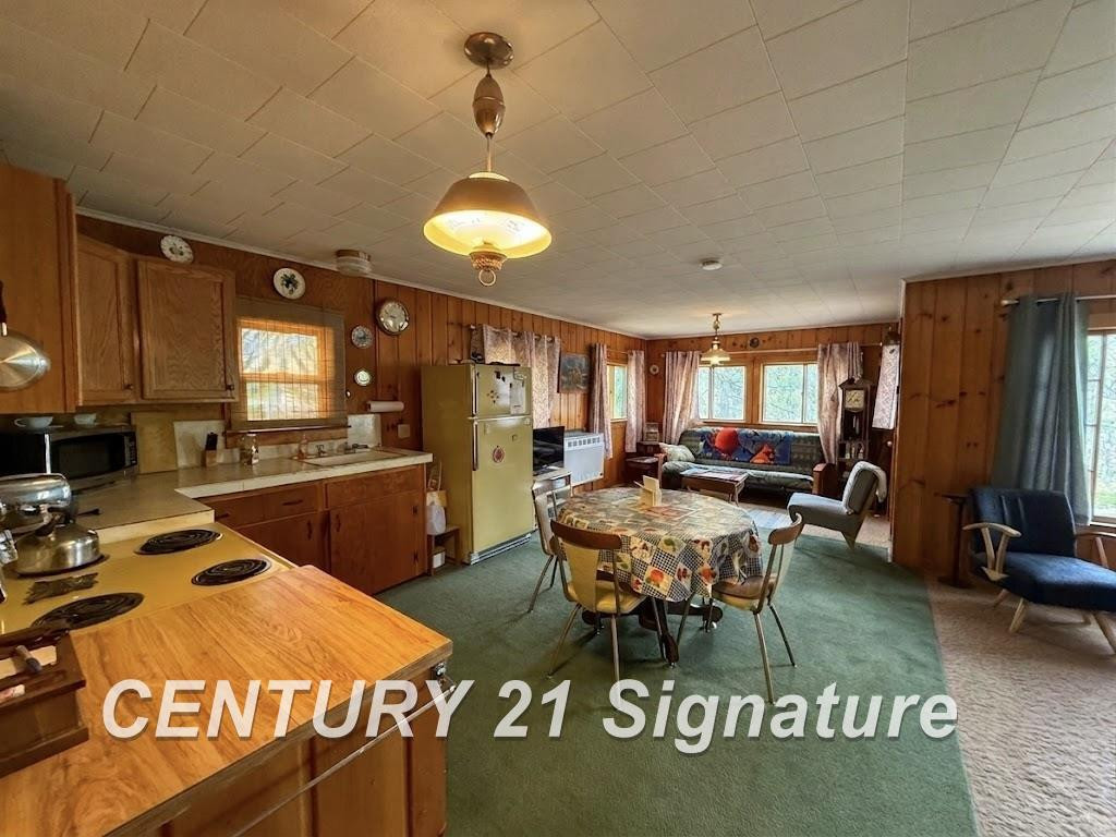 4416 River Street, Sears, MI 49679 — Photo 5