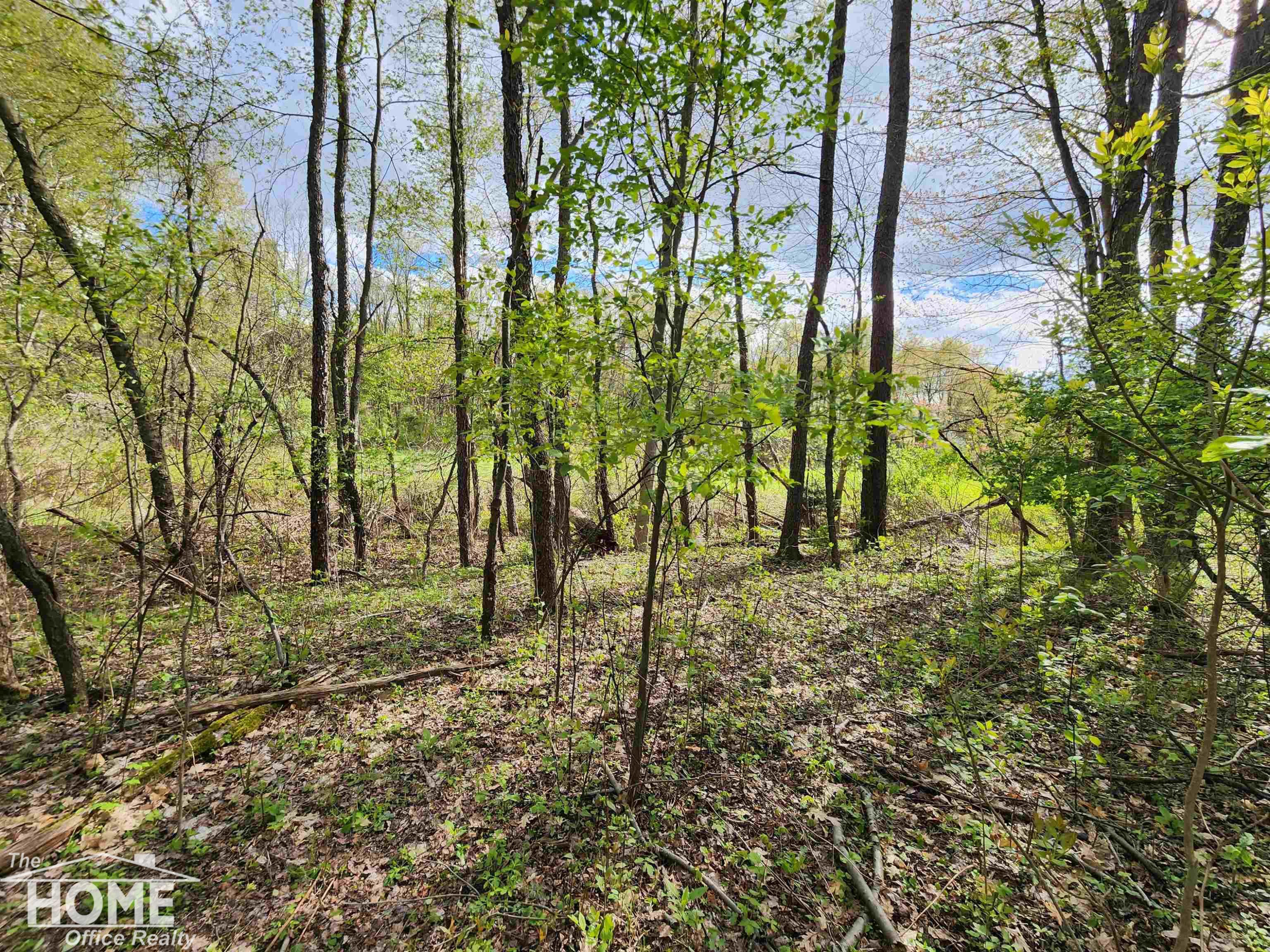 7405 W Lansing Road, MI 48872 — Photo 8