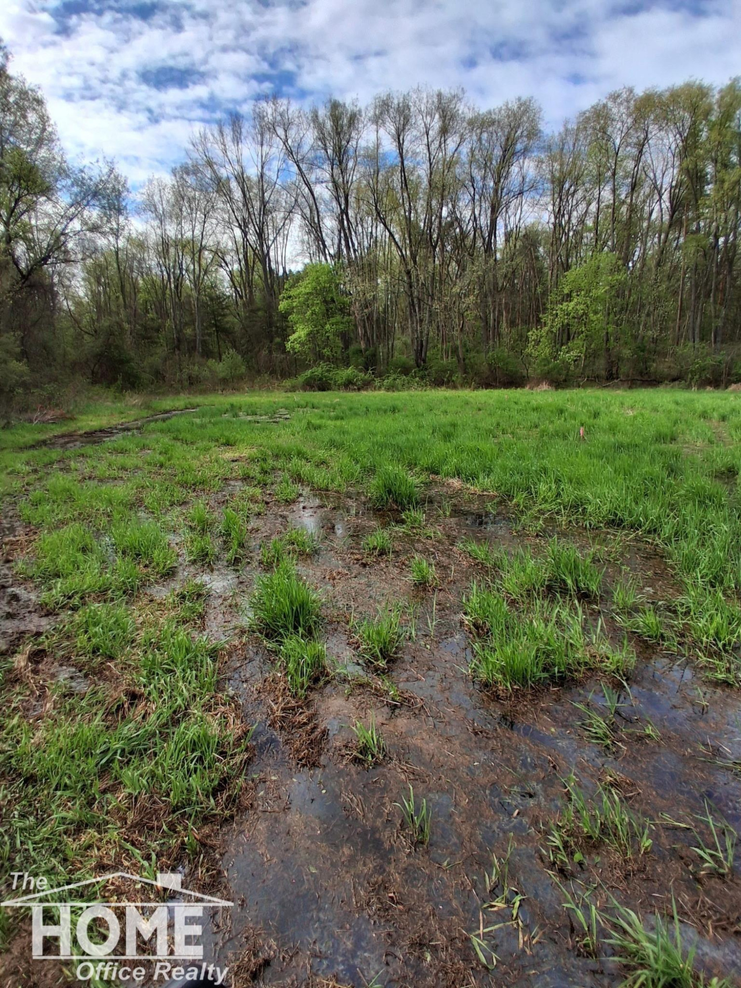 7405 W Lansing Road, MI 48872 — Photo 35