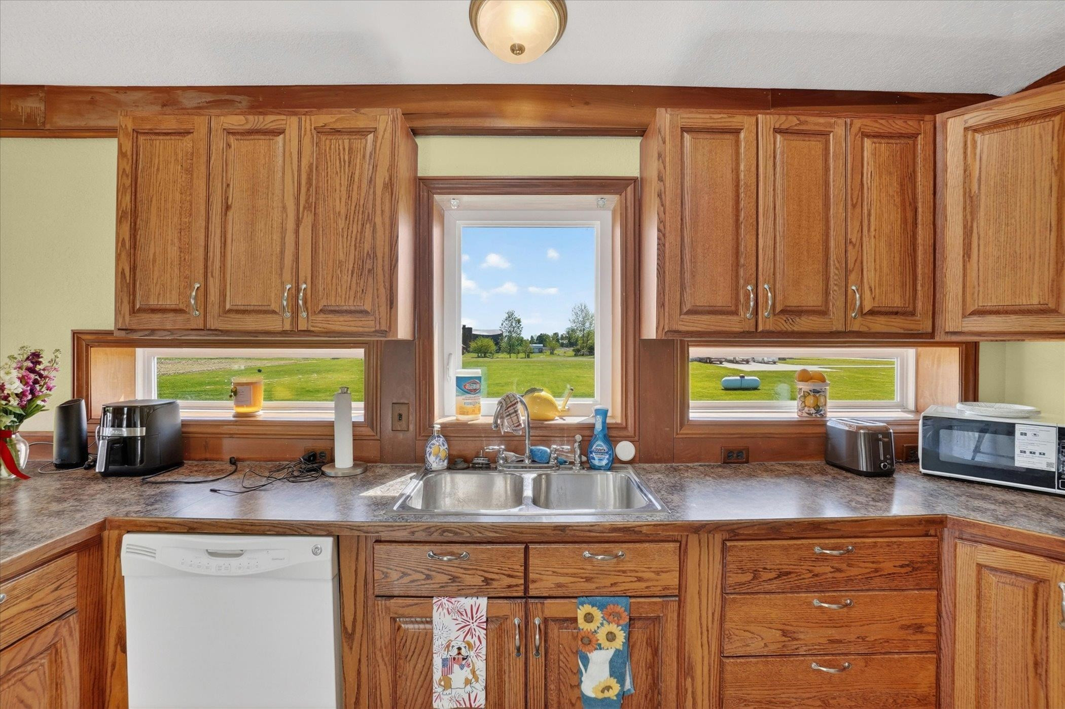 8580 W Hibbard Road, Ovid, MI 48866 — Photo 9