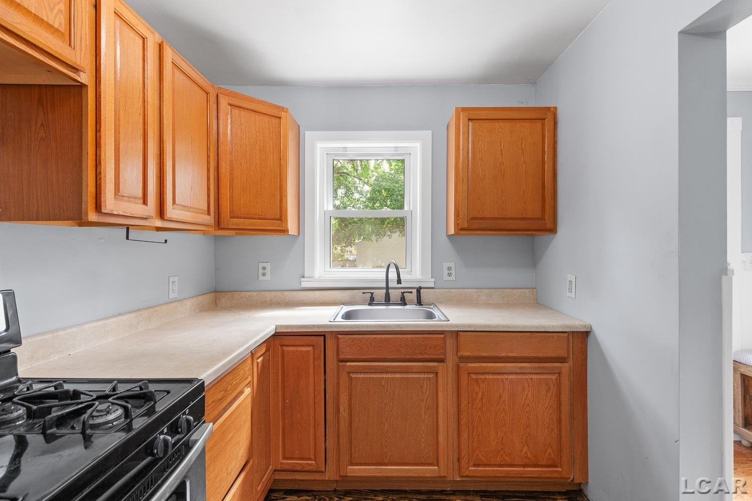 431 Oden Way, Adrian, MI 49221 — Photo 14