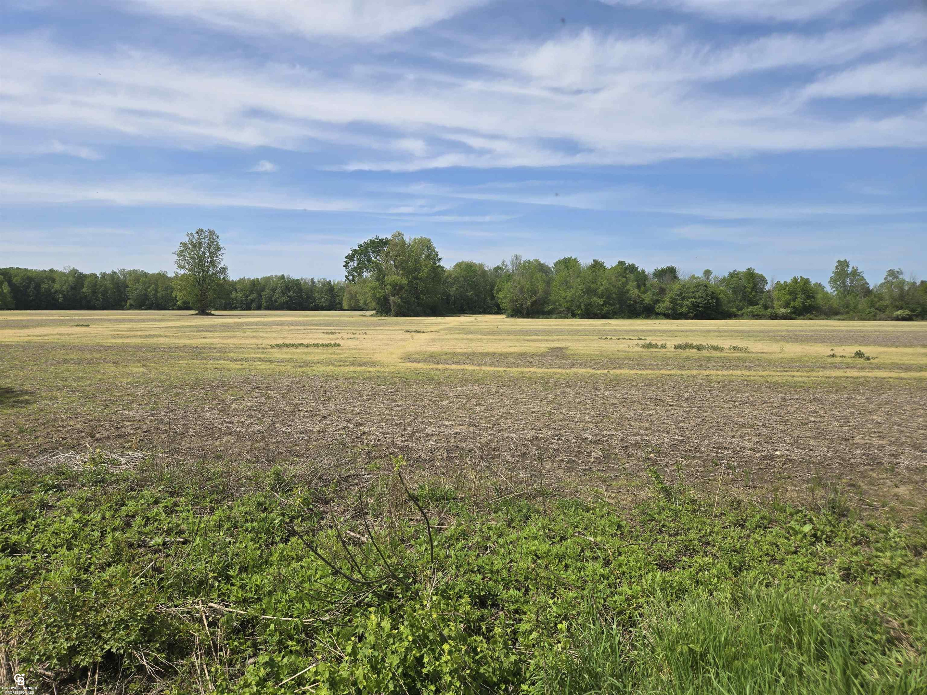 00 Bean VL Lot E Road, Avoca, MI 48006 — Photo 6