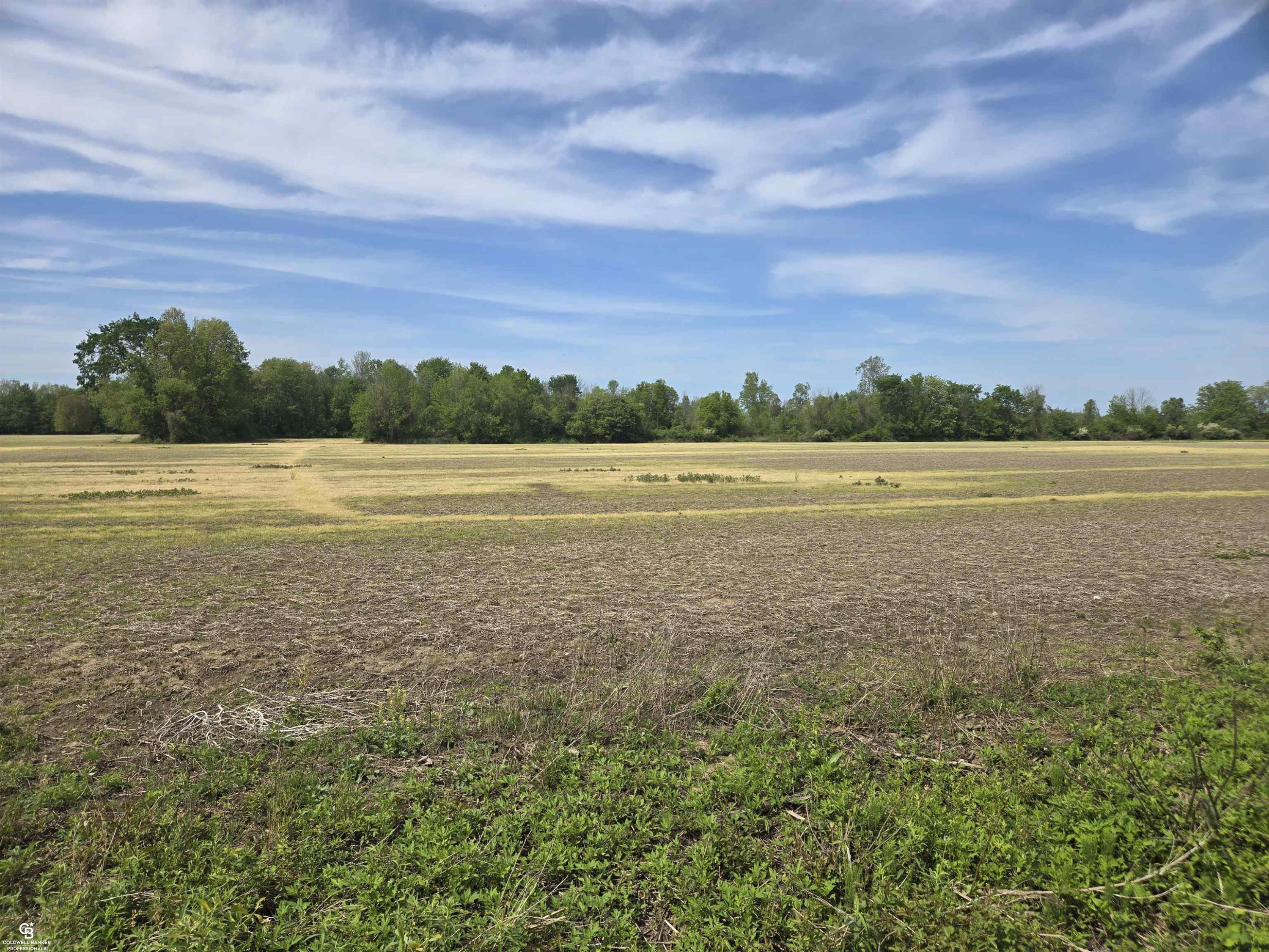 00 Bean VL Lot E Road, Avoca, MI 48006 — Photo 7