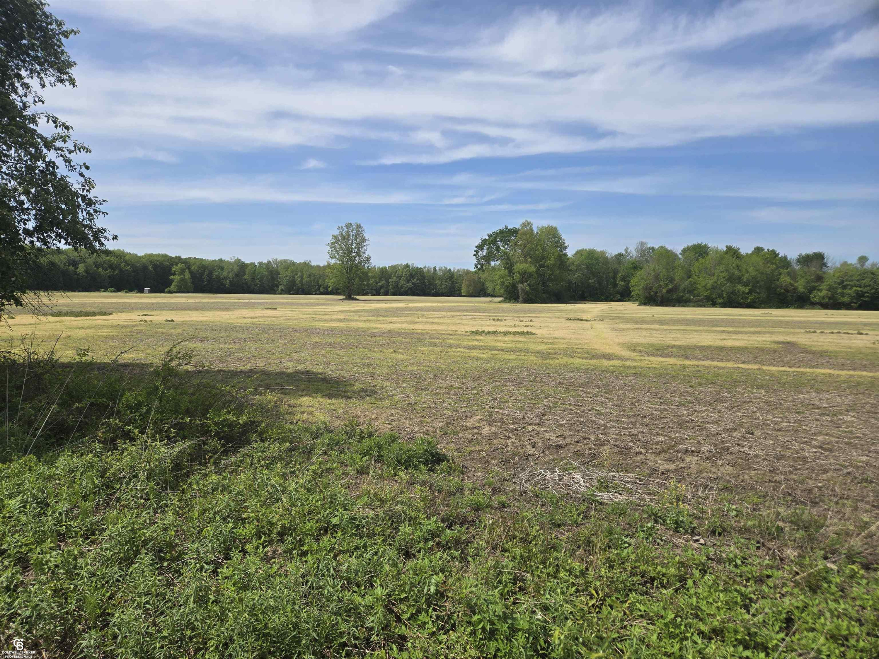 00 Bean VL Lot E Road, Avoca, MI 48006 — Photo 8