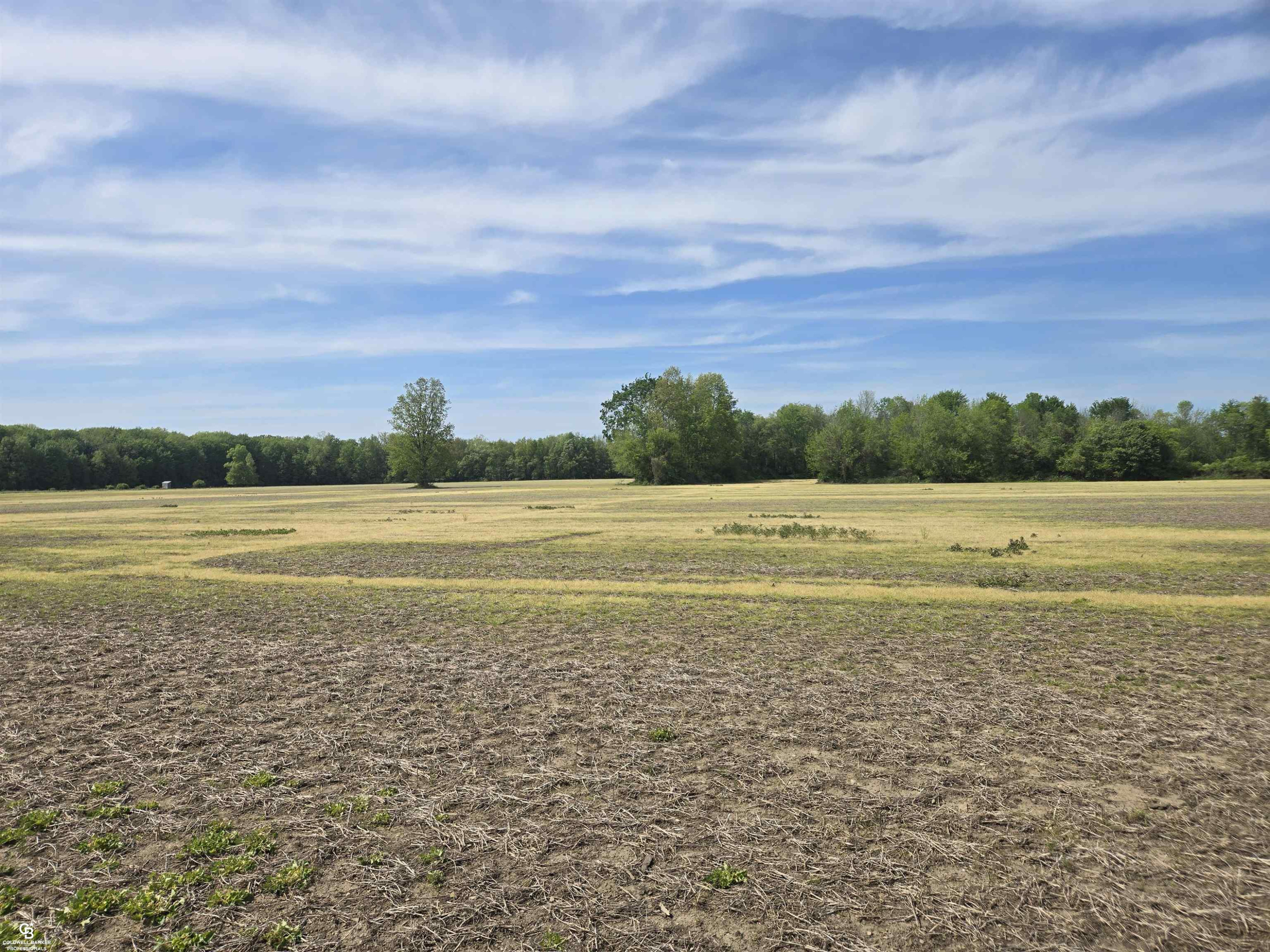 00 Bean VL Lot E Road, Avoca, MI 48006 — Photo 10