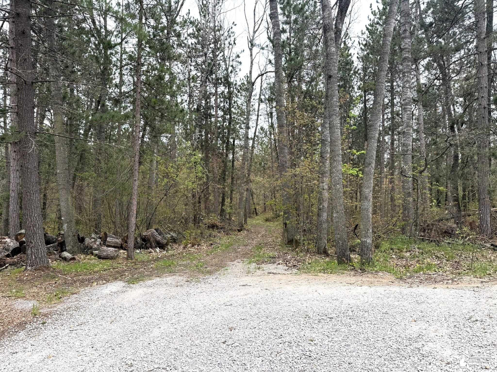 1391 W Hill Road, Lewiston, MI 49756 — Photo 34