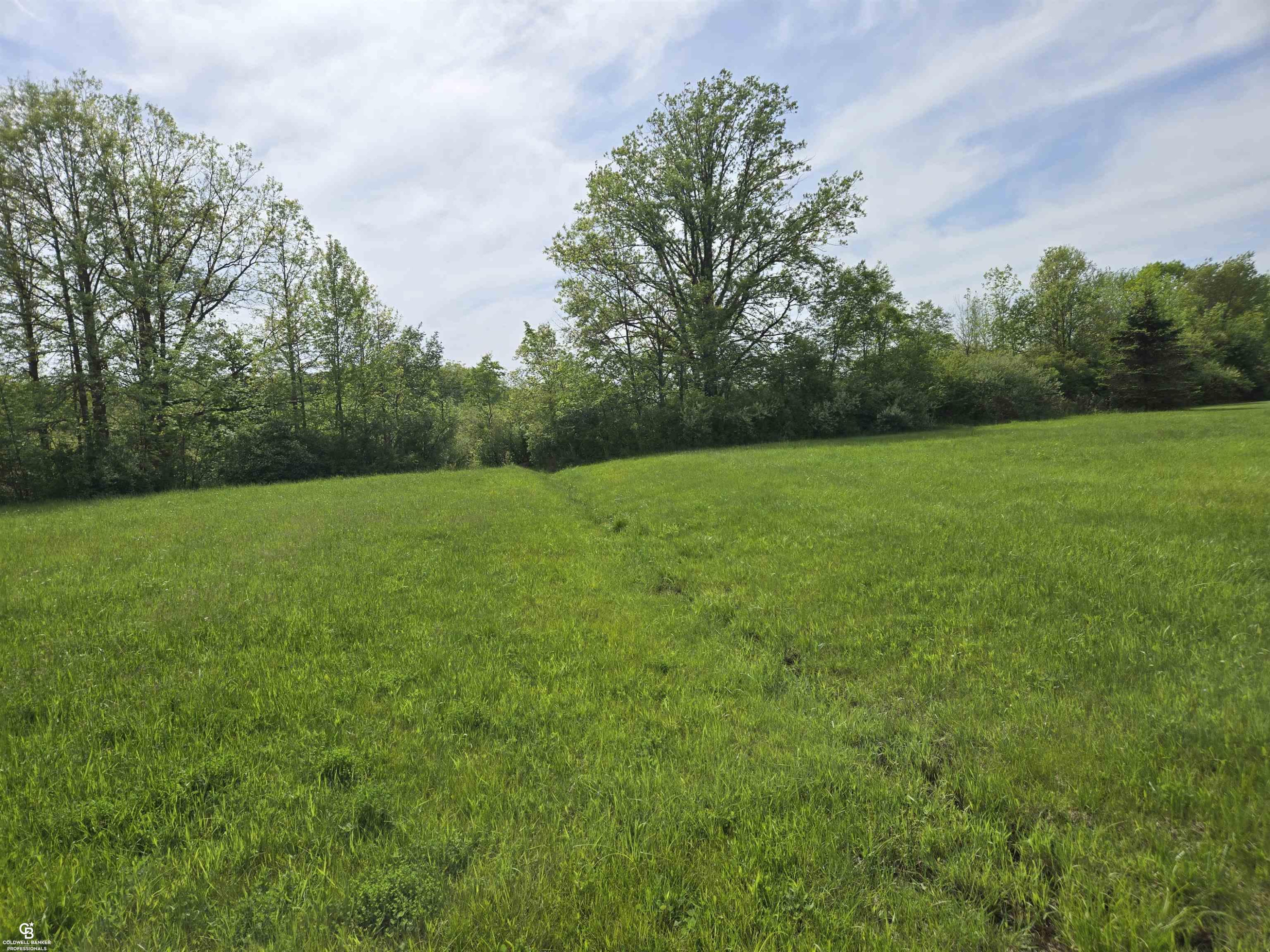4179 Kilgore Road, Avoca, MI 48006 — Photo 4
