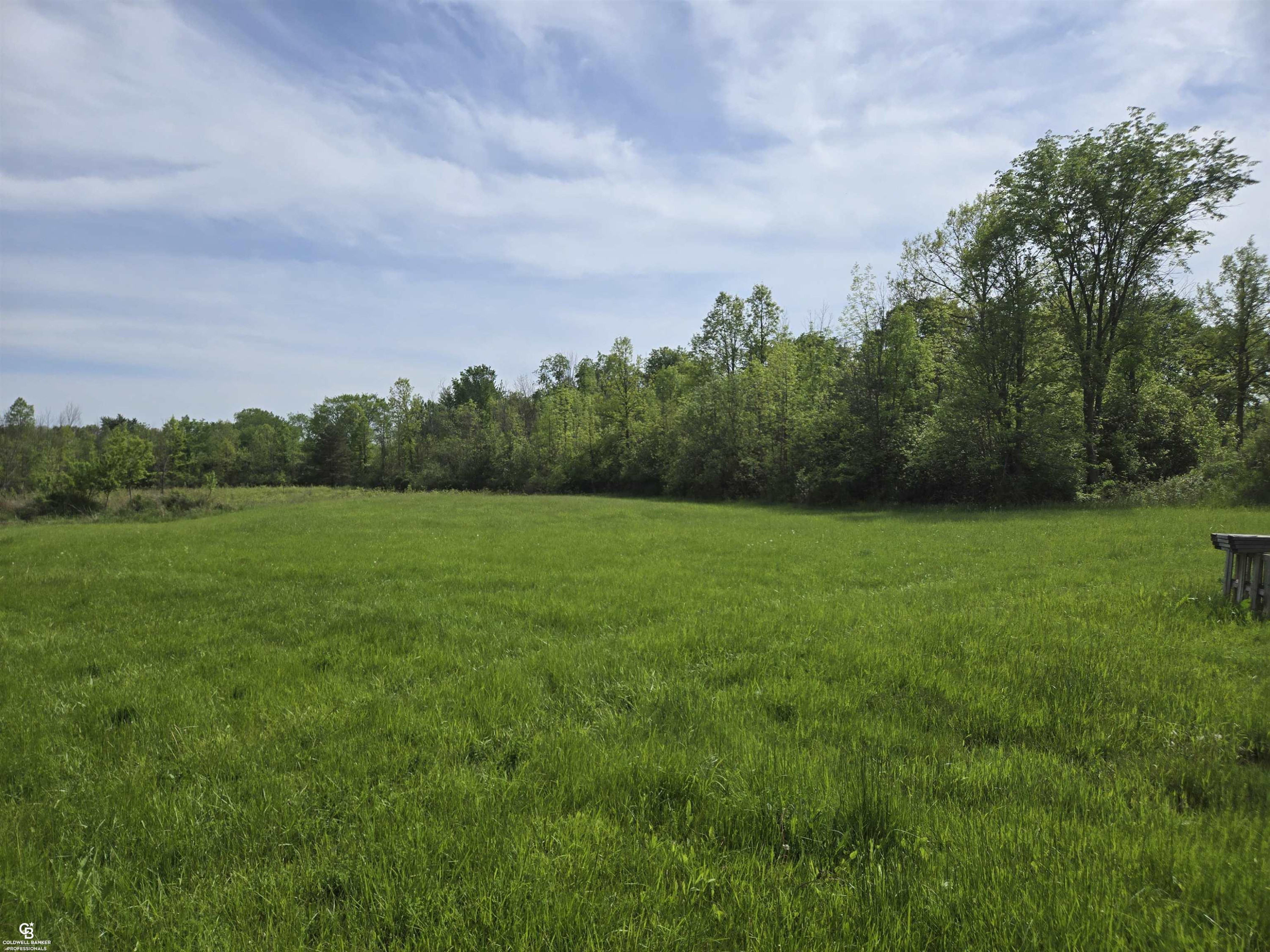 4179 Kilgore Road, Avoca, MI 48006 — Photo 5