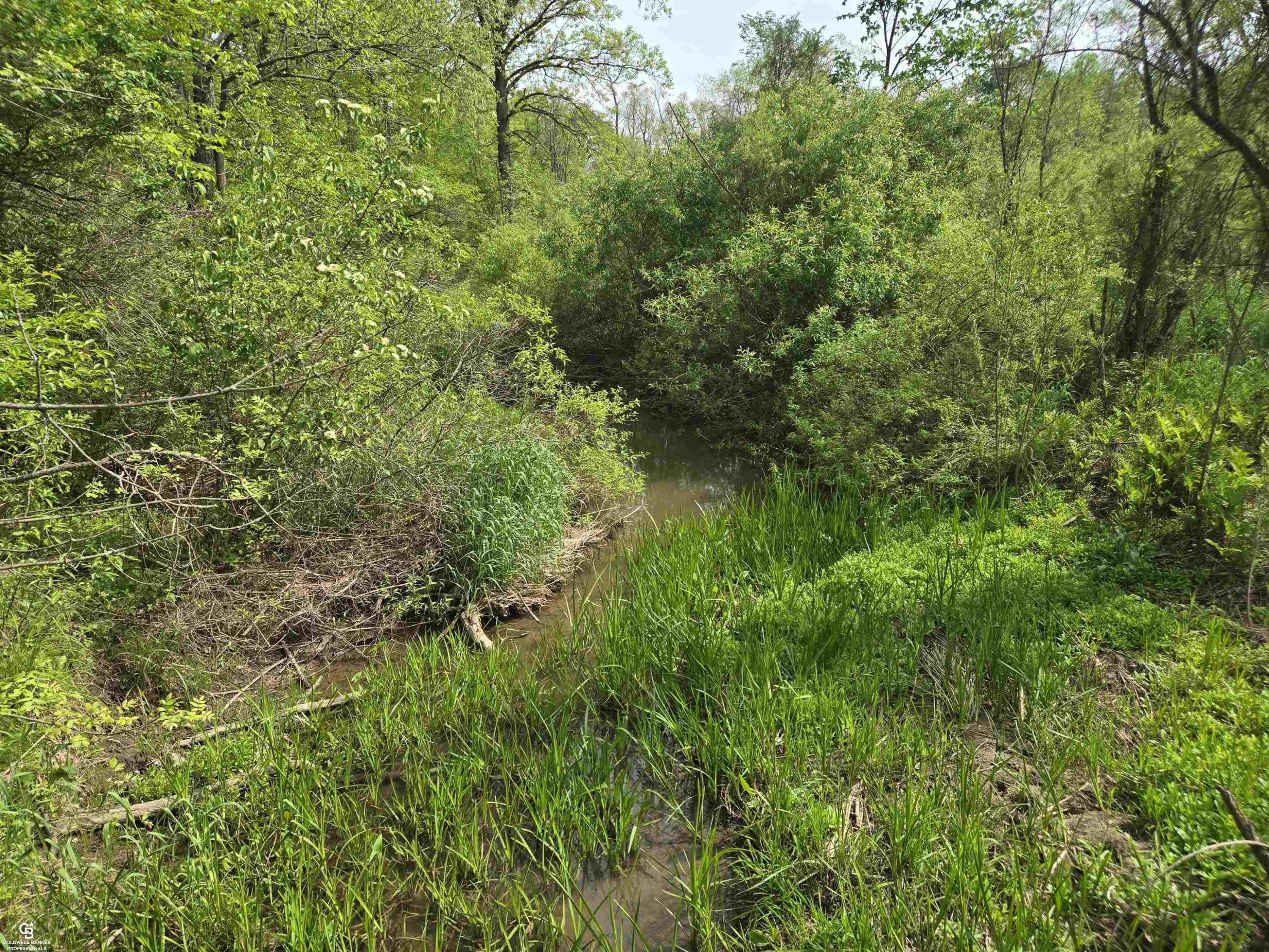 4179 Kilgore Road, Avoca, MI 48006 — Photo 11