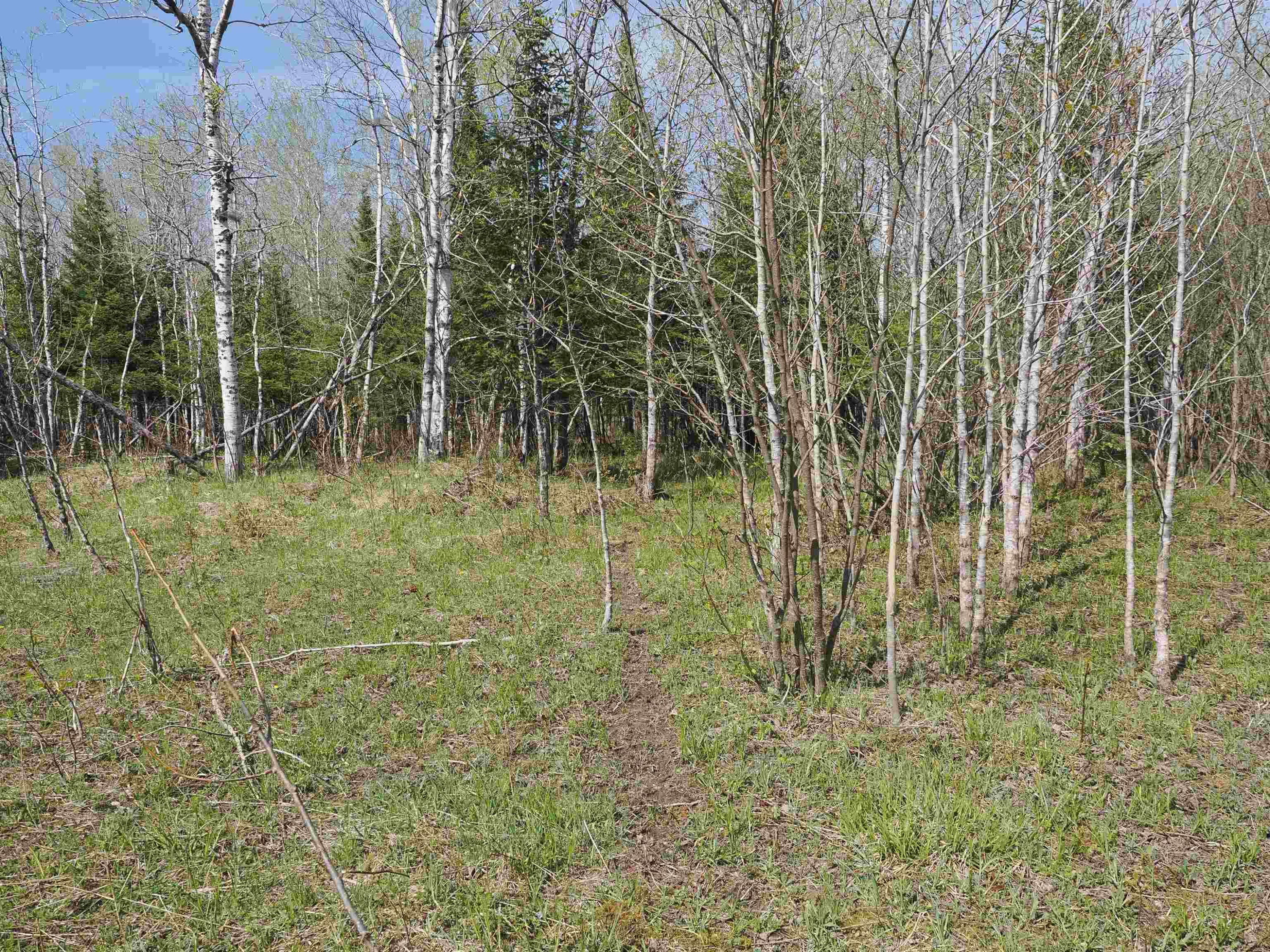 w15598 Hiawatha Trail, Gould City, MI 49838 — Photo 2